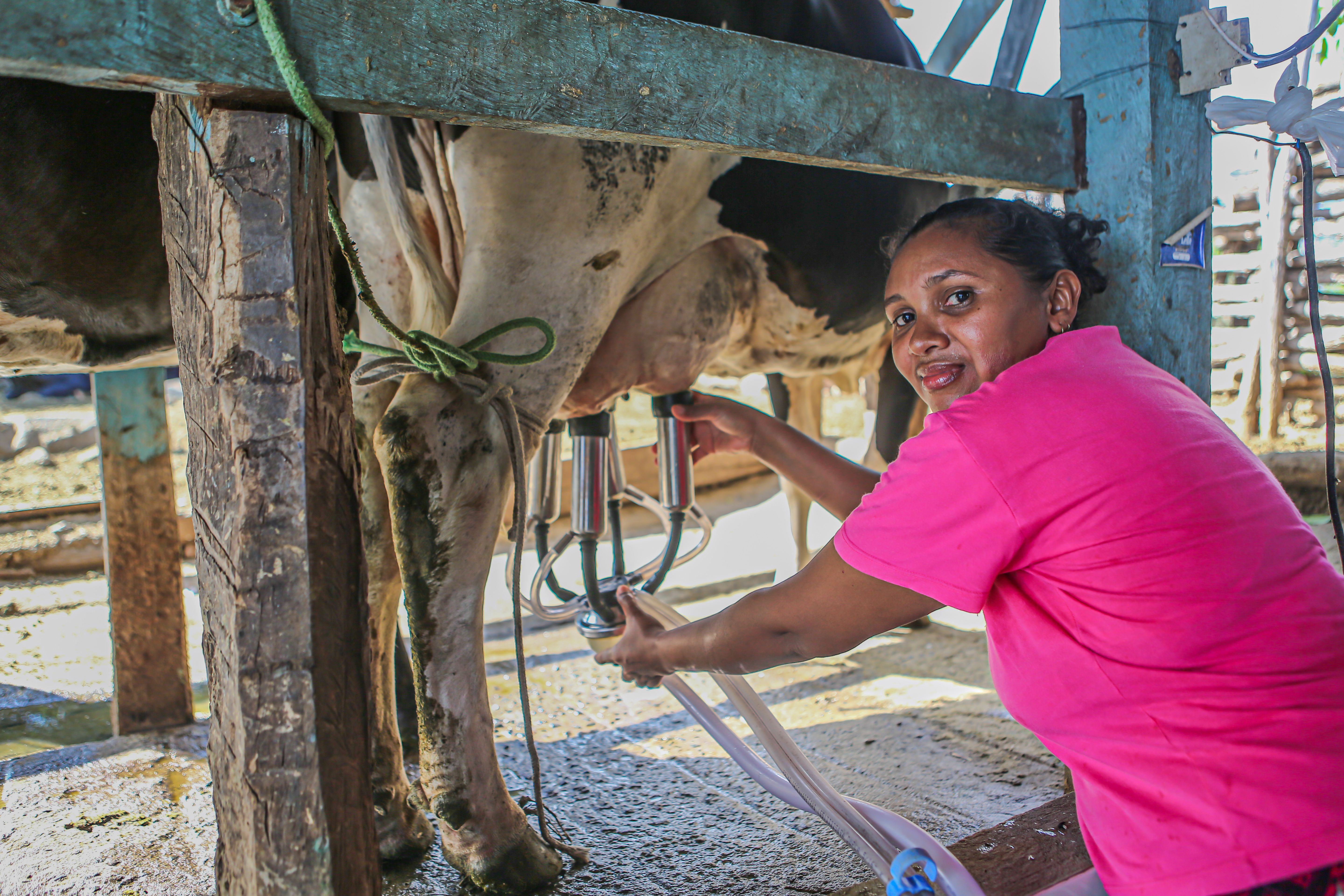 Foto: Reprodução/Secom Piauí