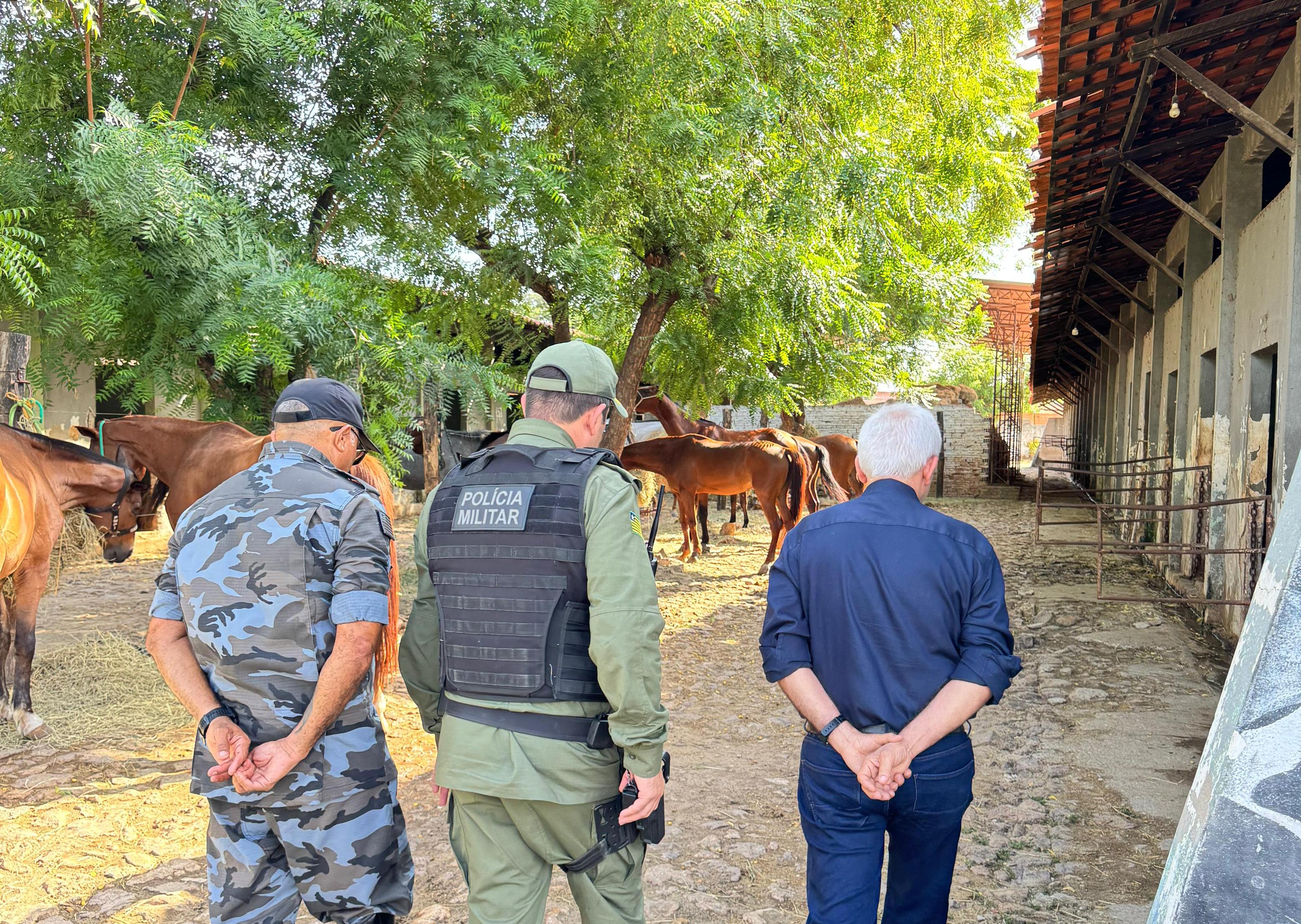 Foto: Reprodução/Secom Piauí