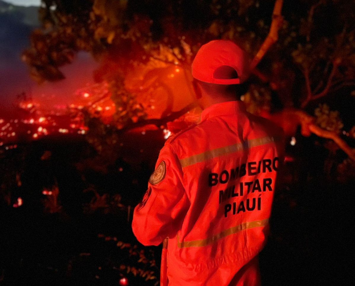 Foto: Reprodução/Secom Piauí