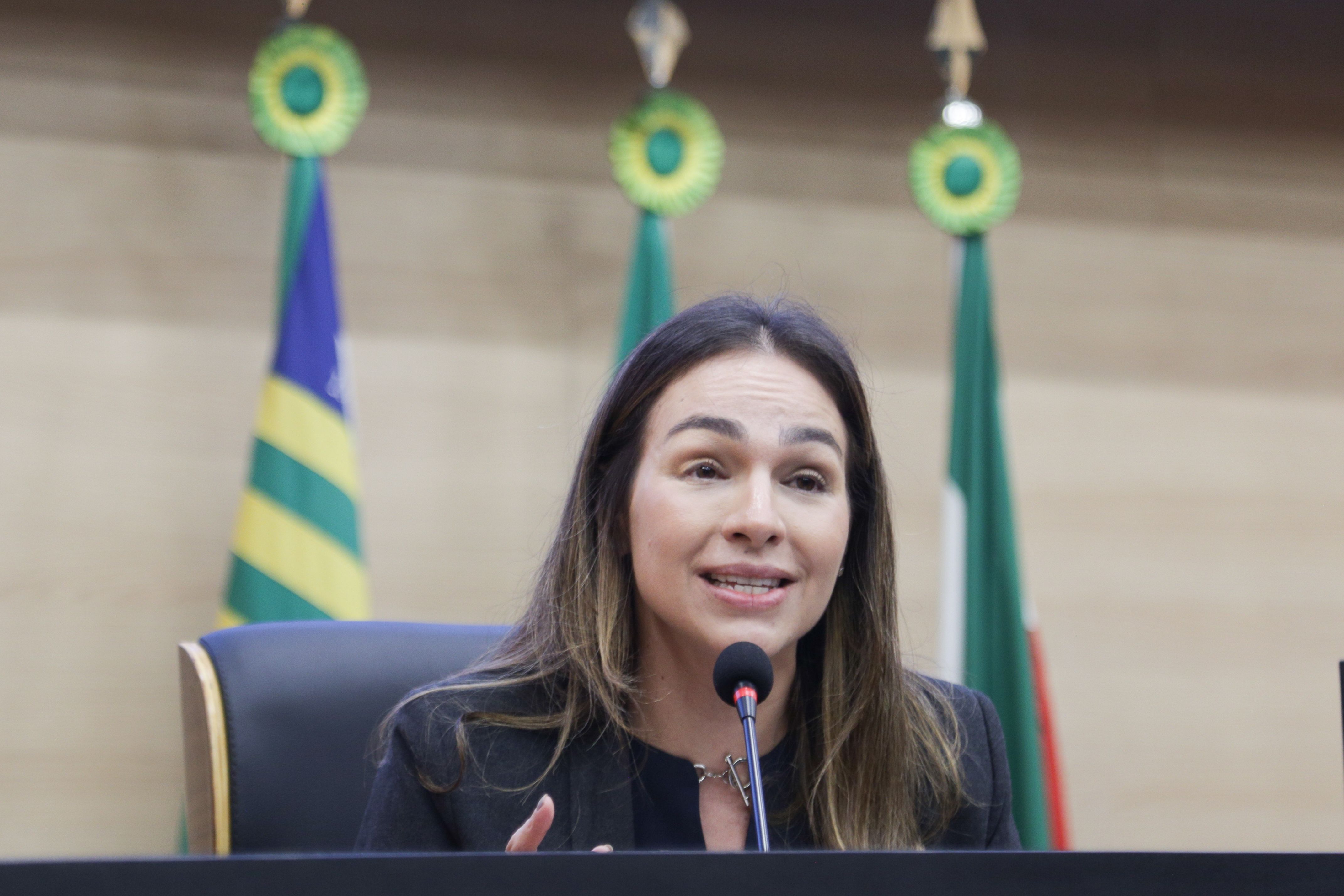 Foto: Reprodução/Secom Piauí