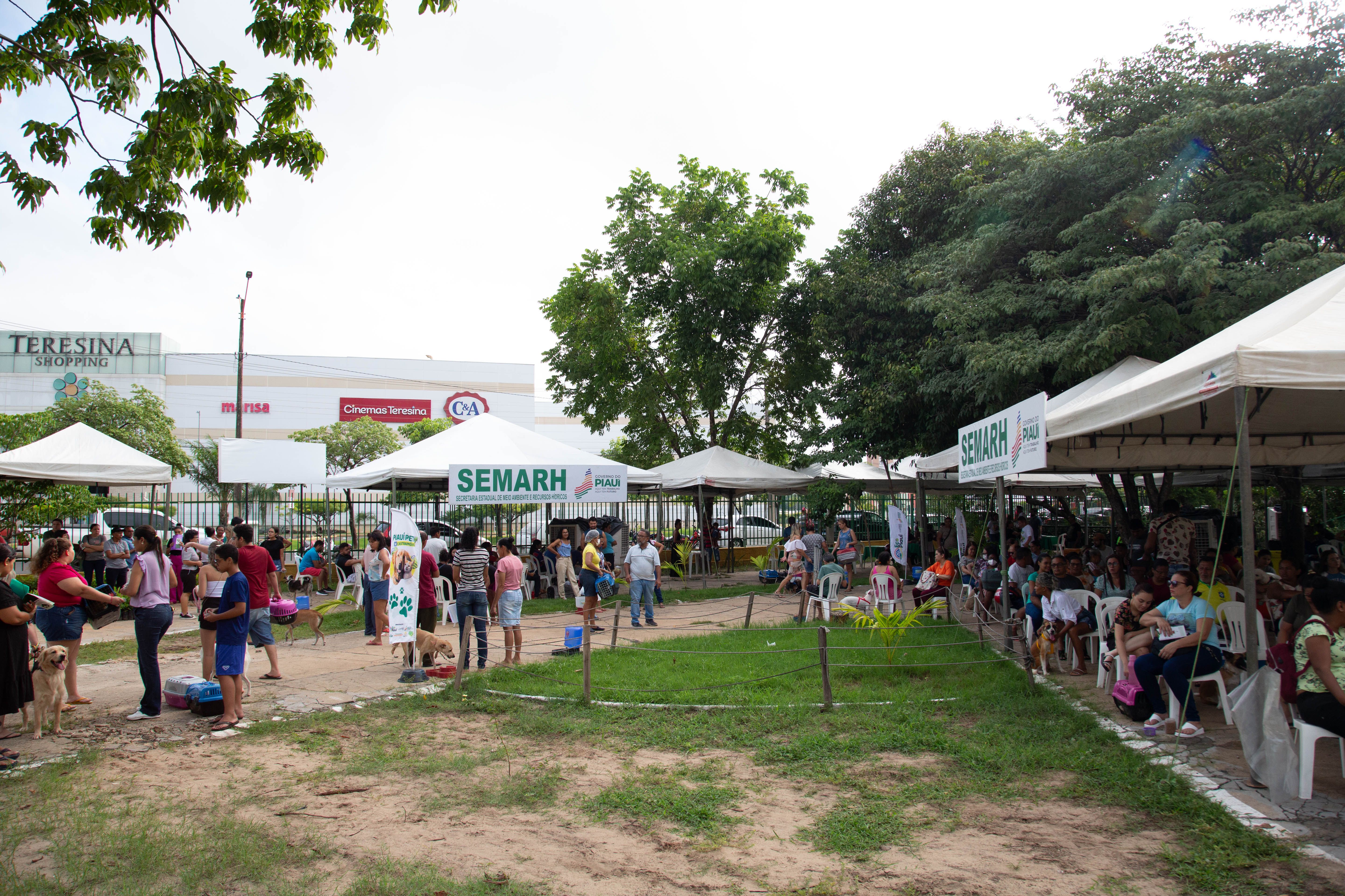 Foto: Reprodução/Secom Piauí