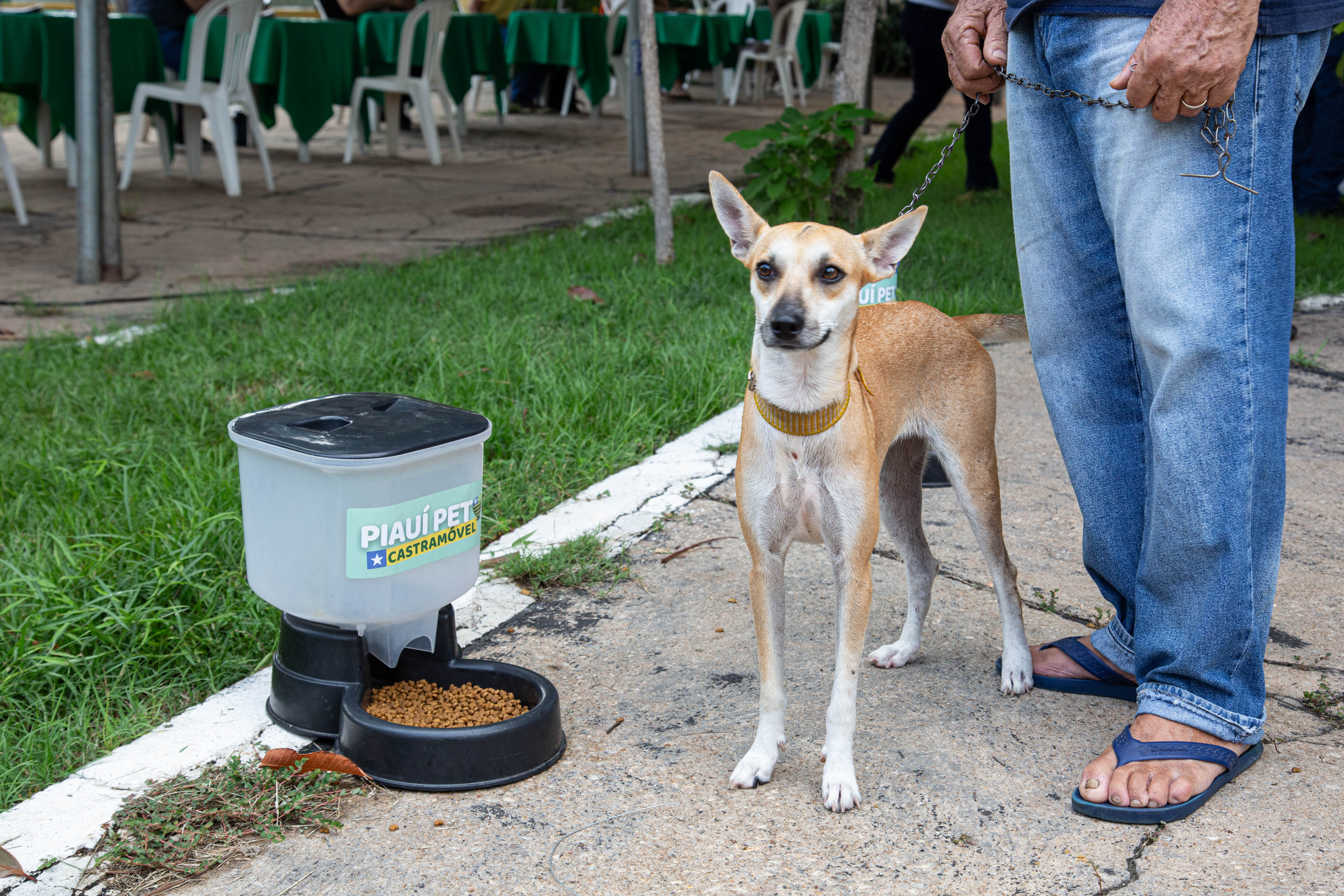 Foto: Reprodução/Secom Piauí