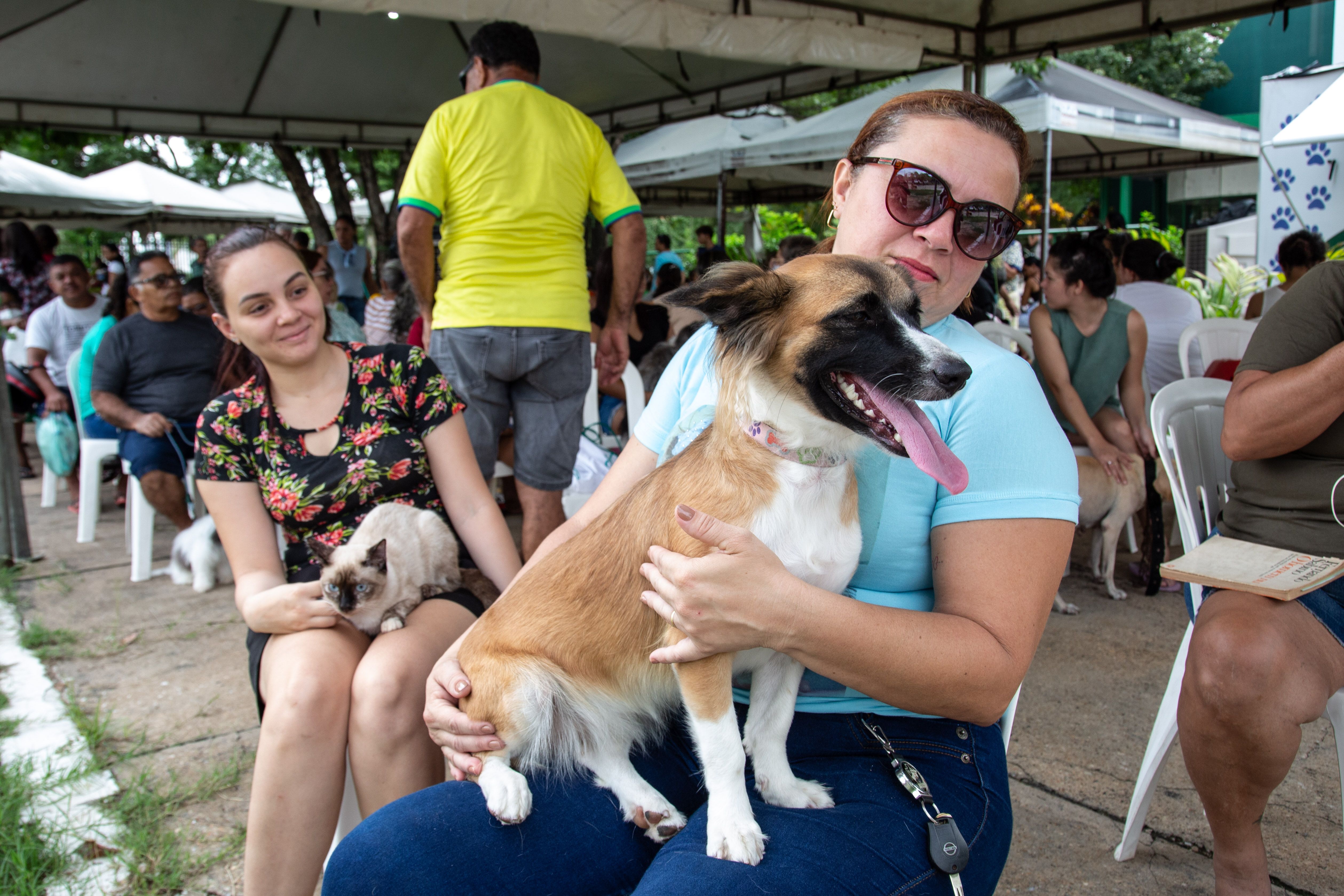 Foto: Reprodução/Secom Piauí