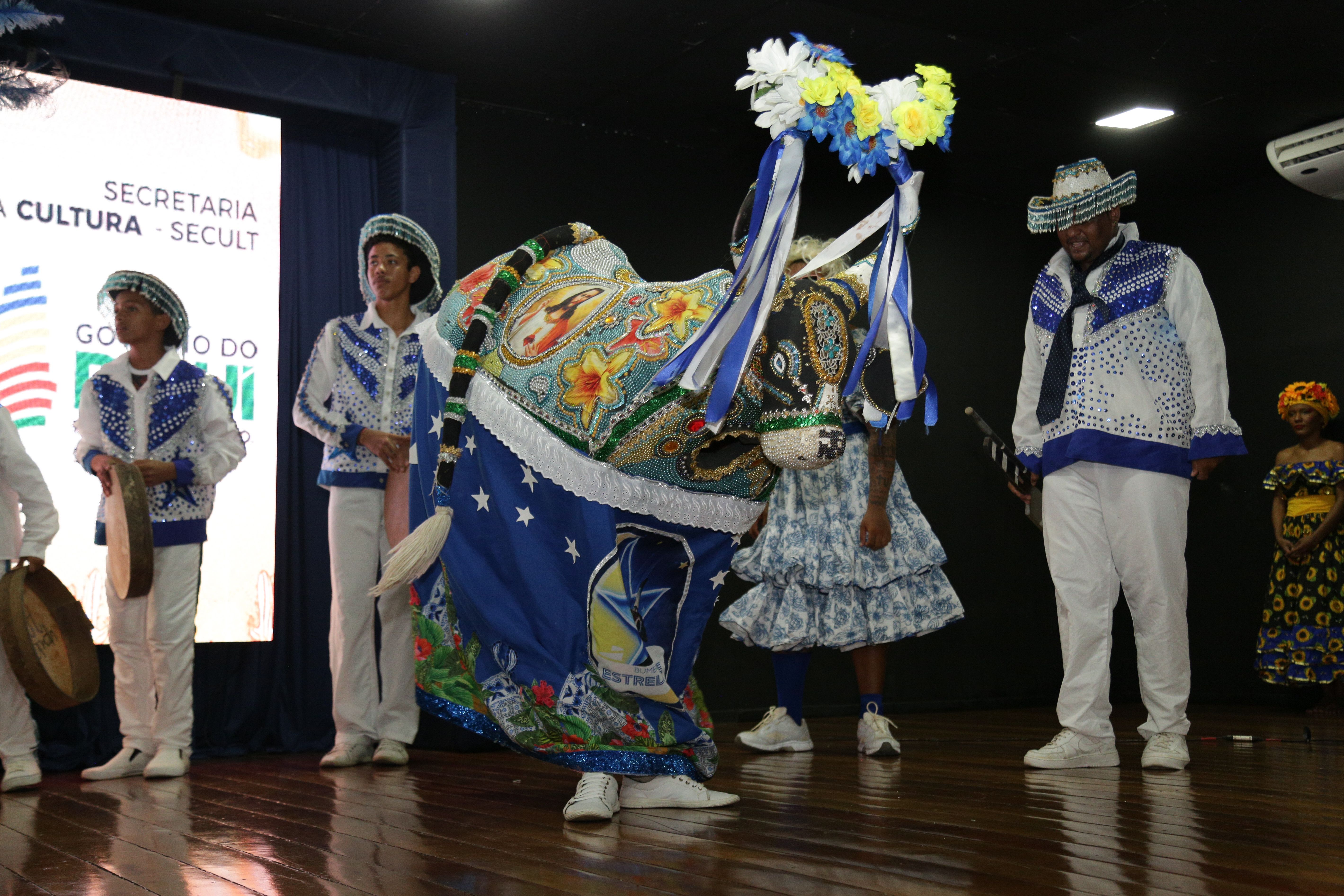 Foto: Reprodução/Secom Piauí