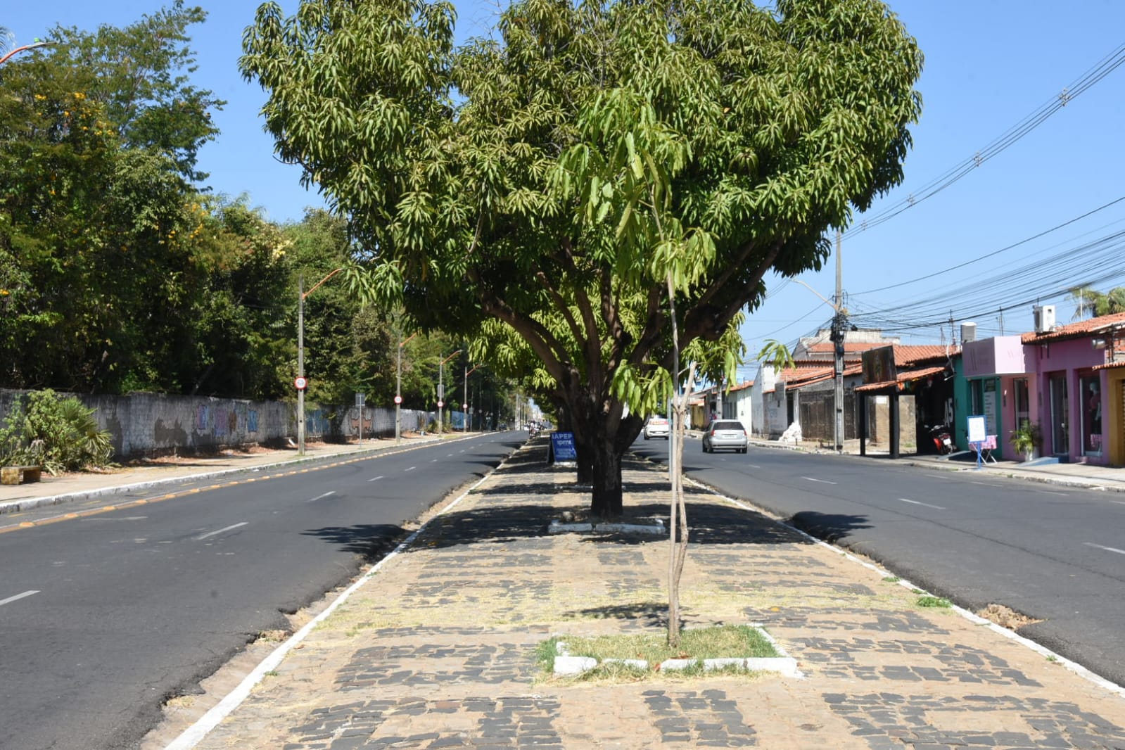 Foto: Reprodução/Secom Piauí