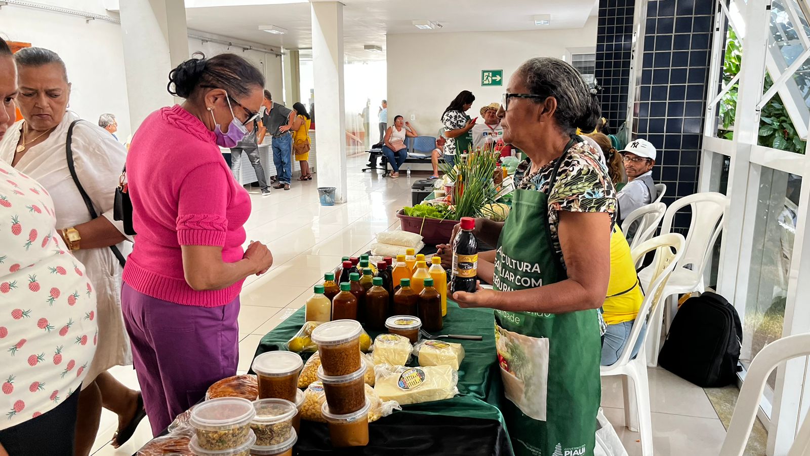 Foto: Reprodução/Secom Piauí