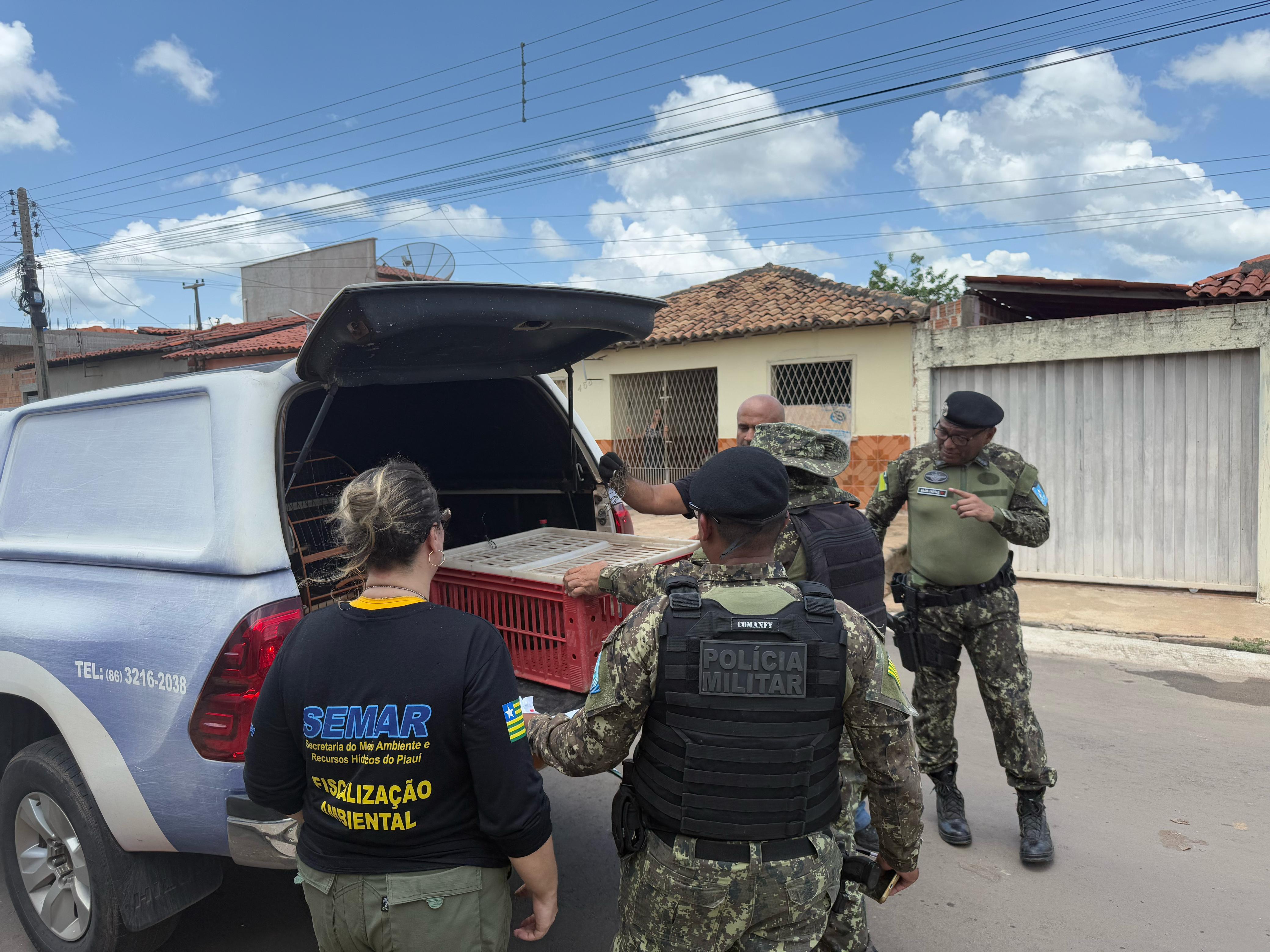 Foto: Reprodução/Secom Piauí