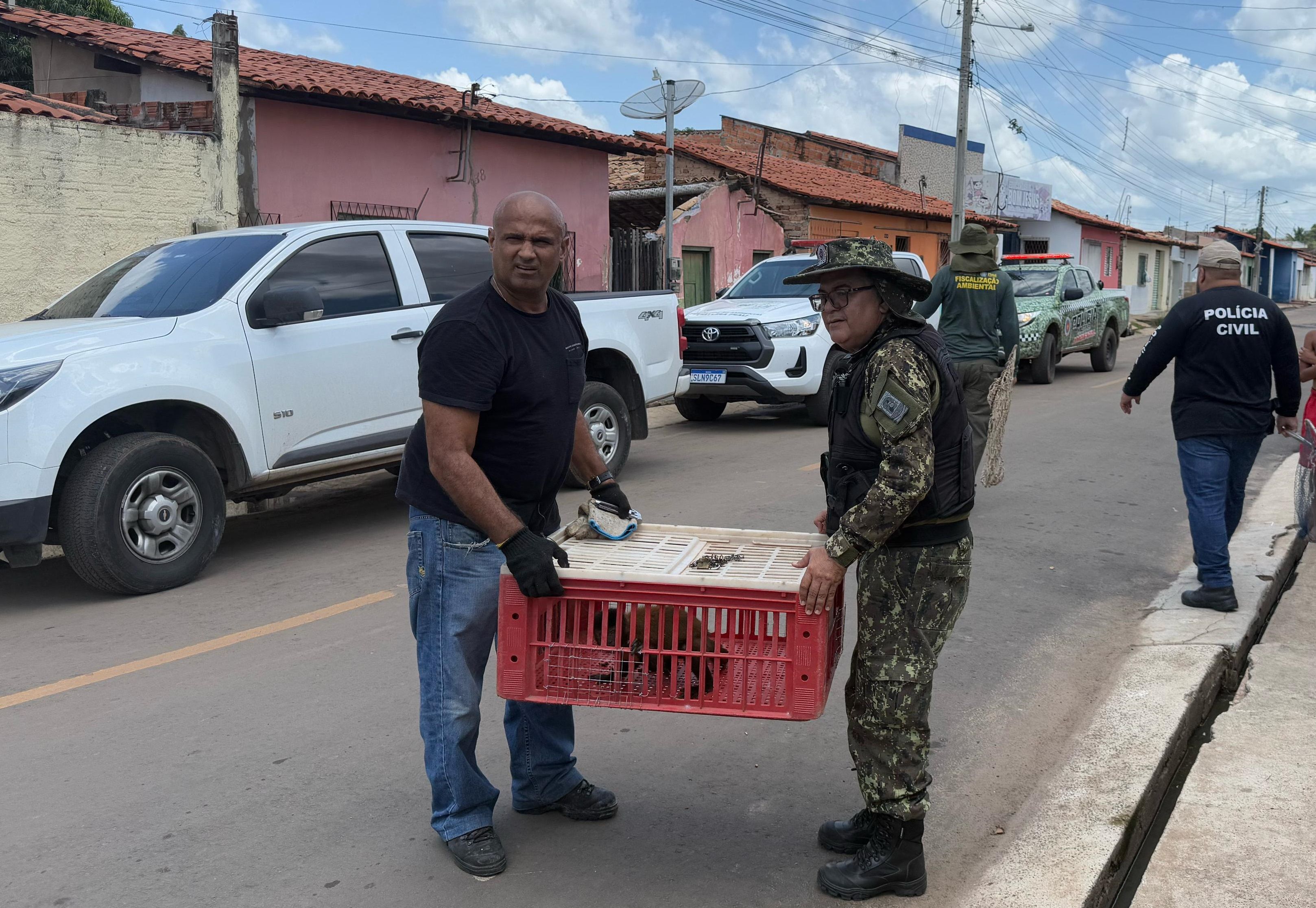 Foto: Reprodução/Secom Piauí
