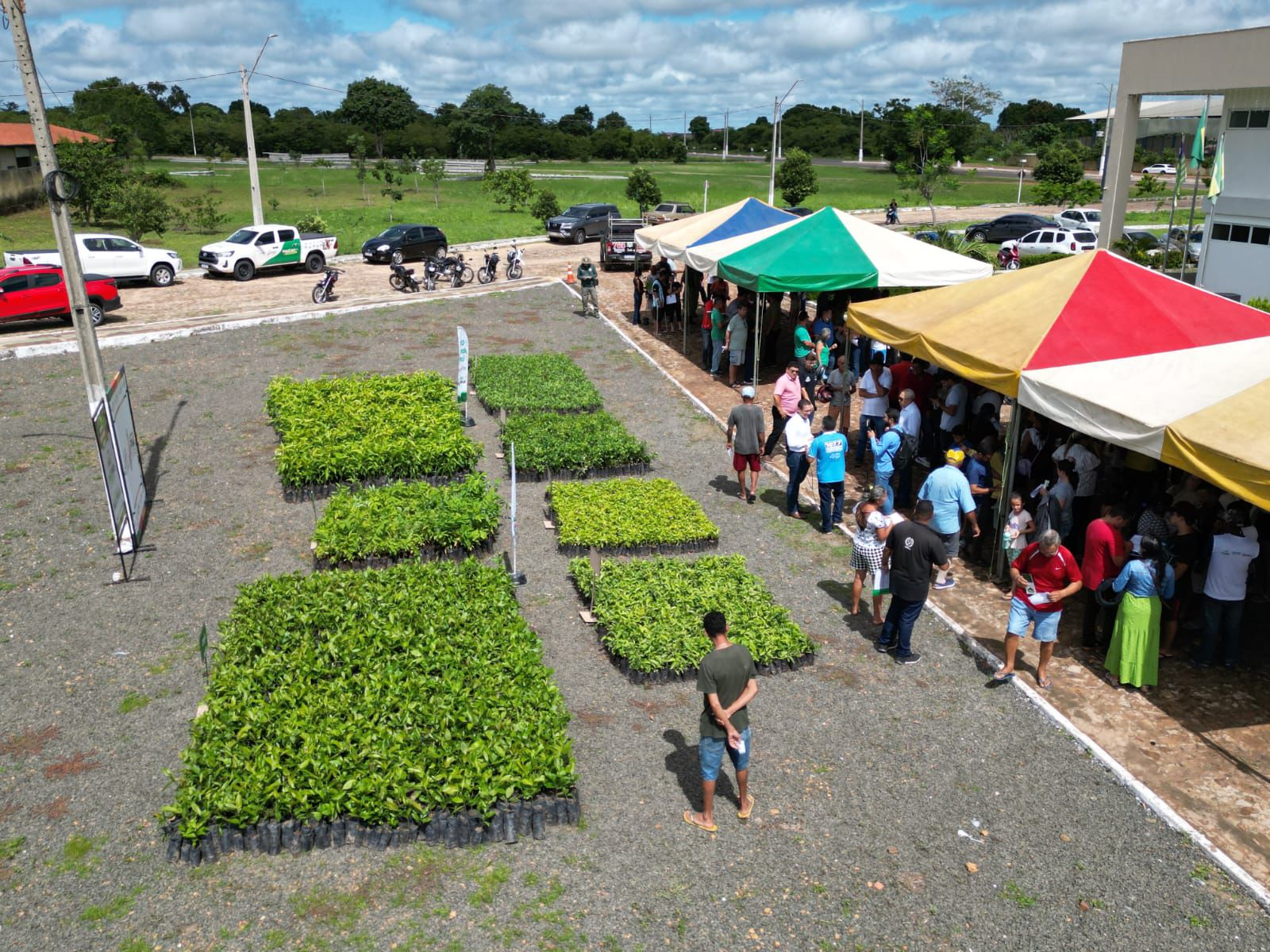 Foto: Reprodução/Secom Piauí