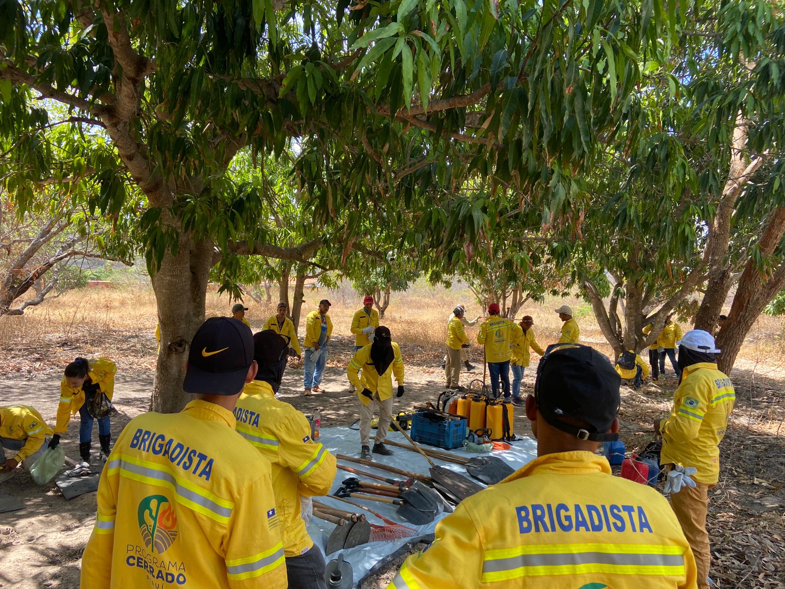 Foto: Reprodução/Secom Piauí