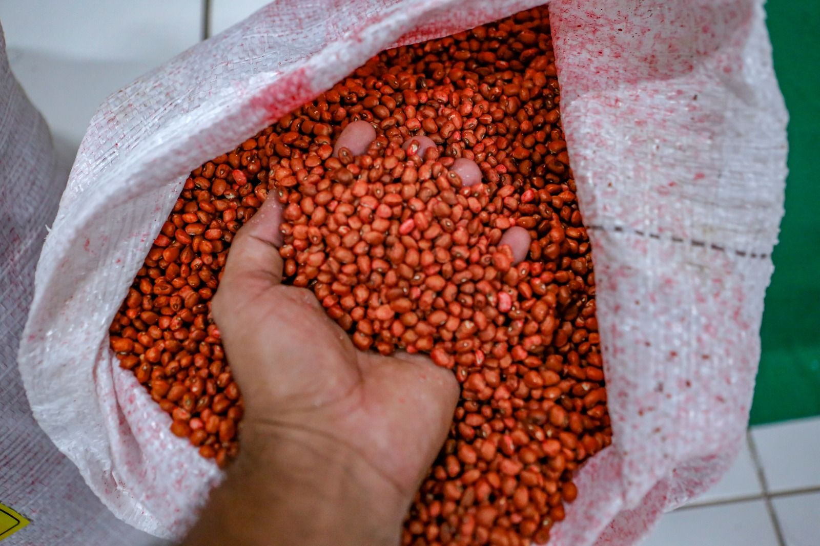 Foto: Reprodução/Secom Piauí