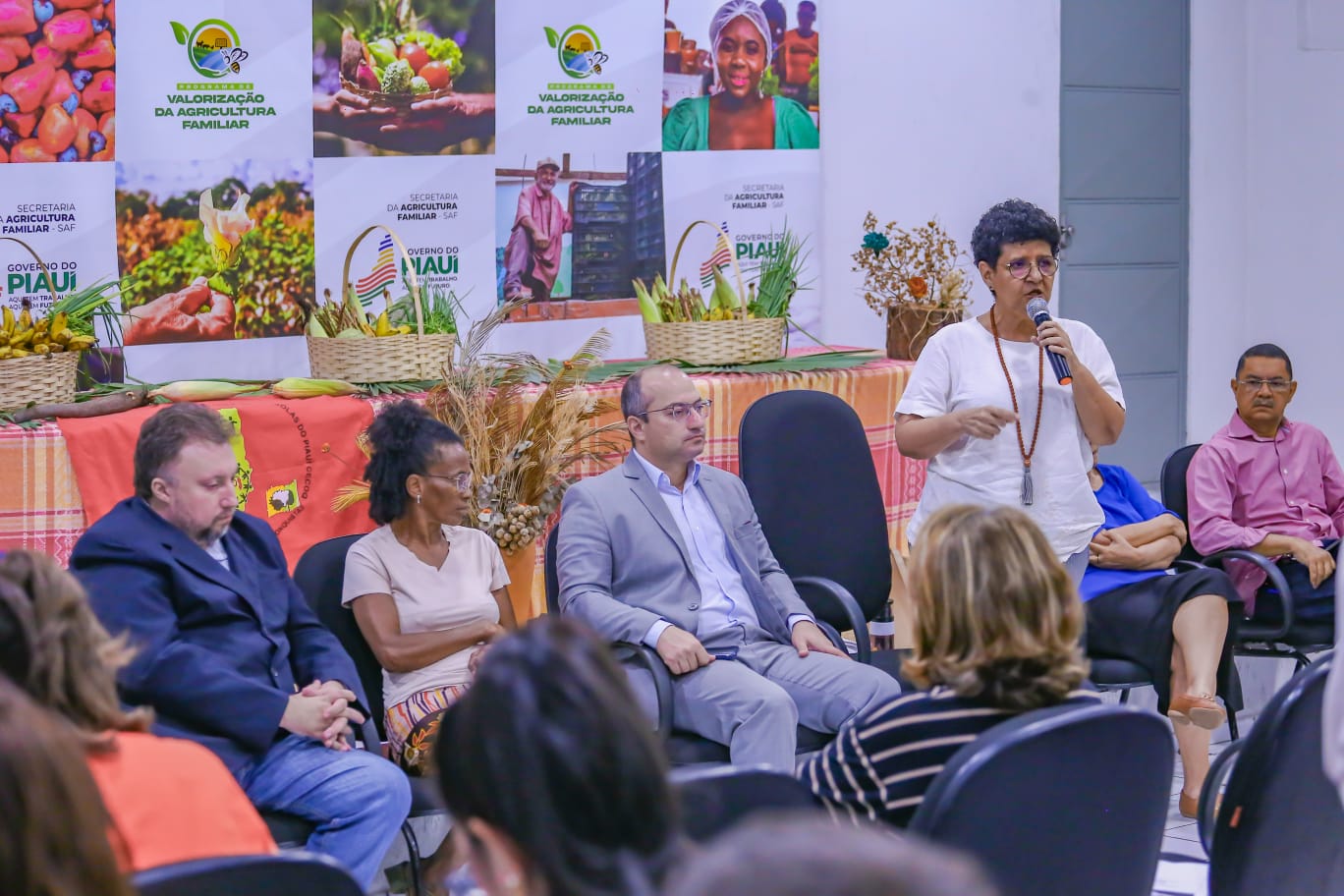 Foto: Reprodução/Secom Piauí