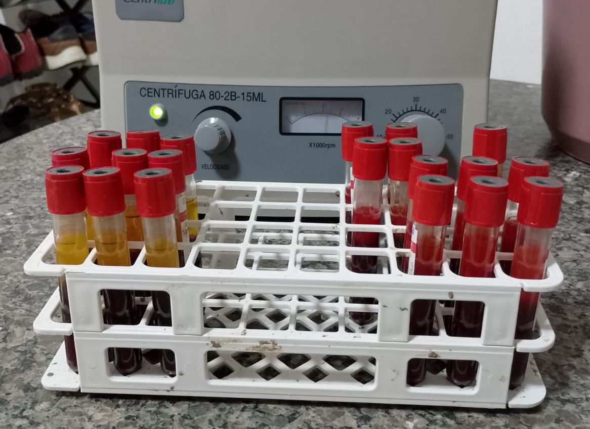 Foto: Reprodução/Secom Piauí