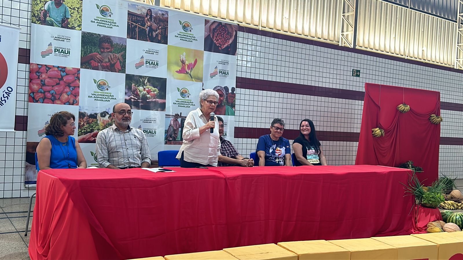 Foto: Reprodução/Secom Piauí