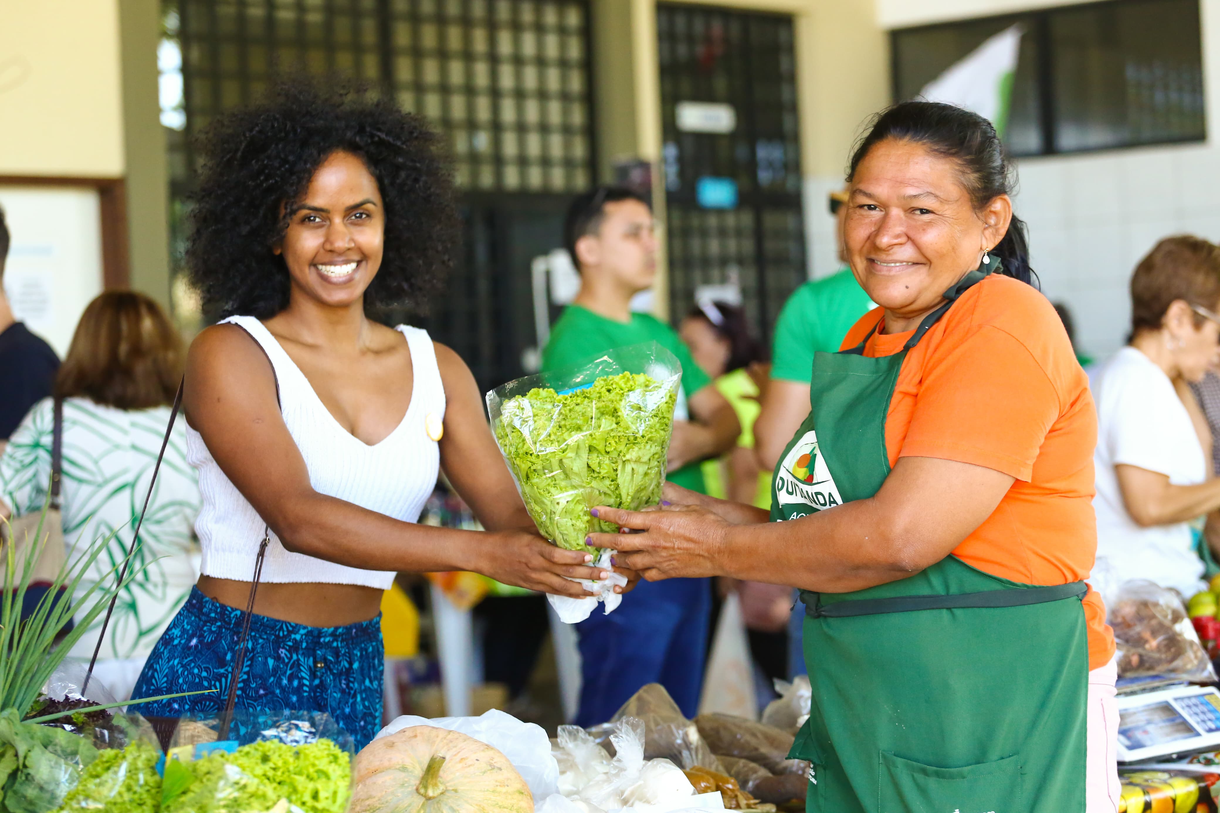 Foto: Reprodução/Secom Piauí