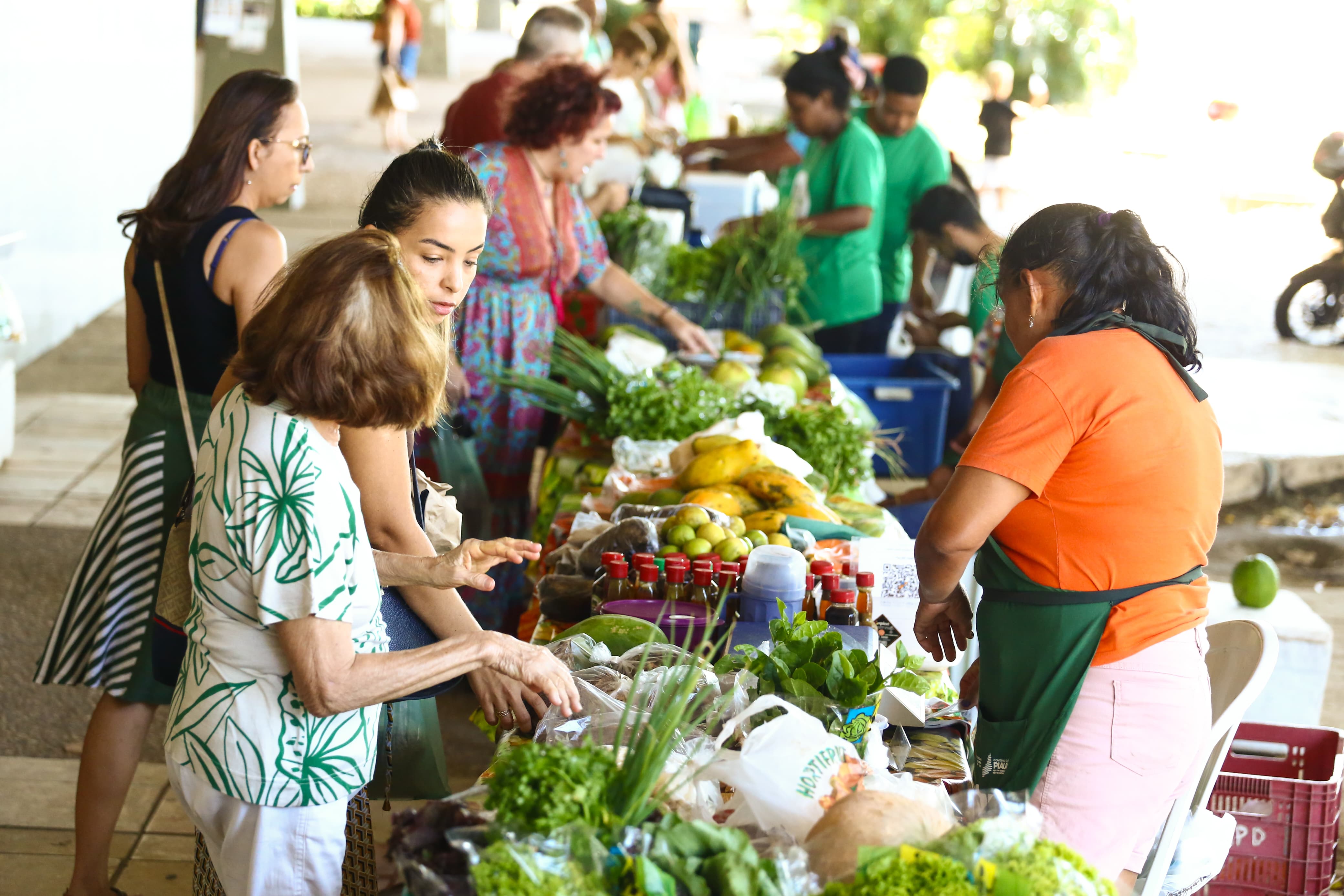 Foto: Reprodução/Secom Piauí