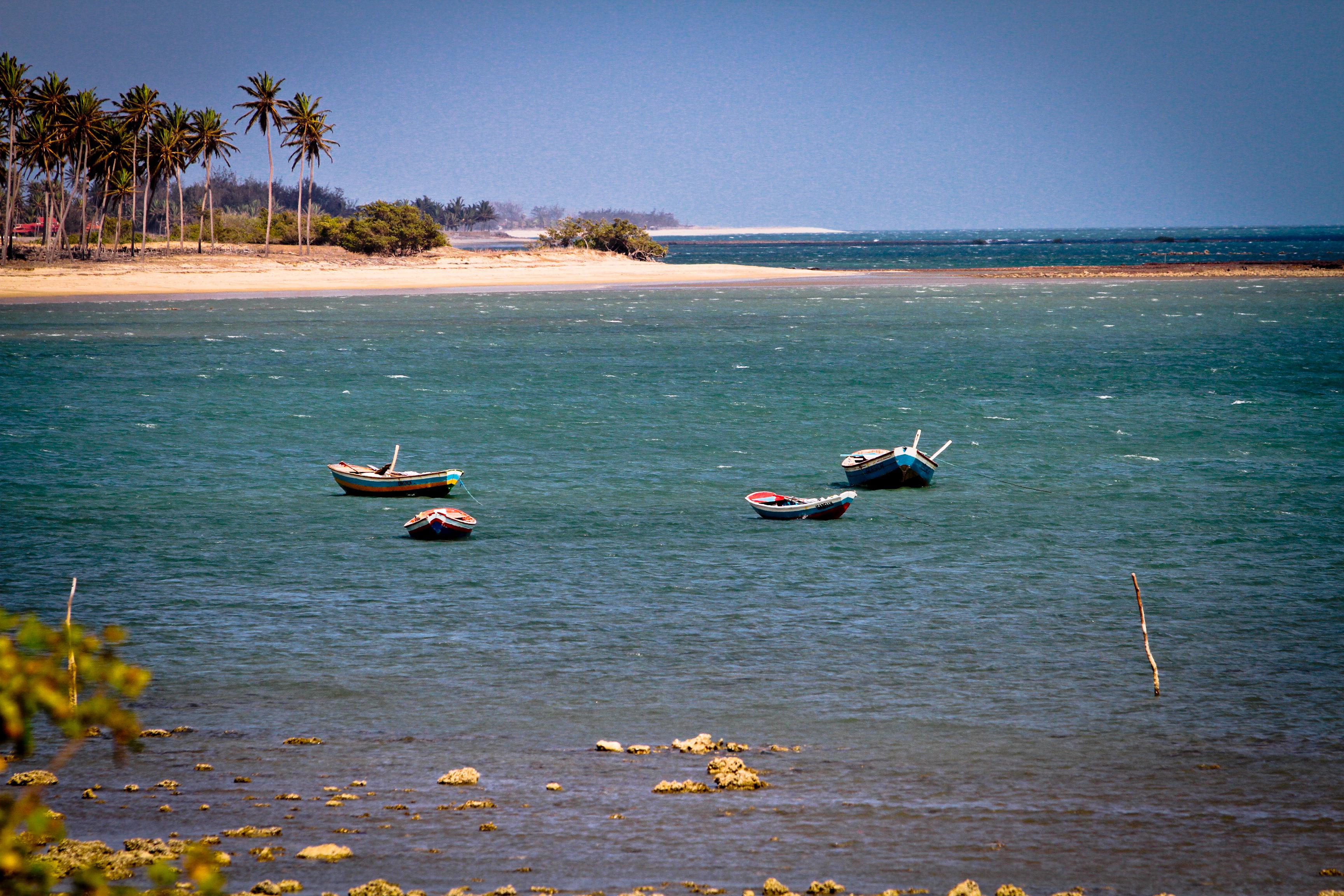 Foto: Reprodução/Secom Piauí