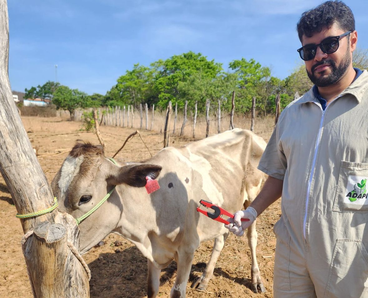 Foto: Reprodução/Secom Piauí