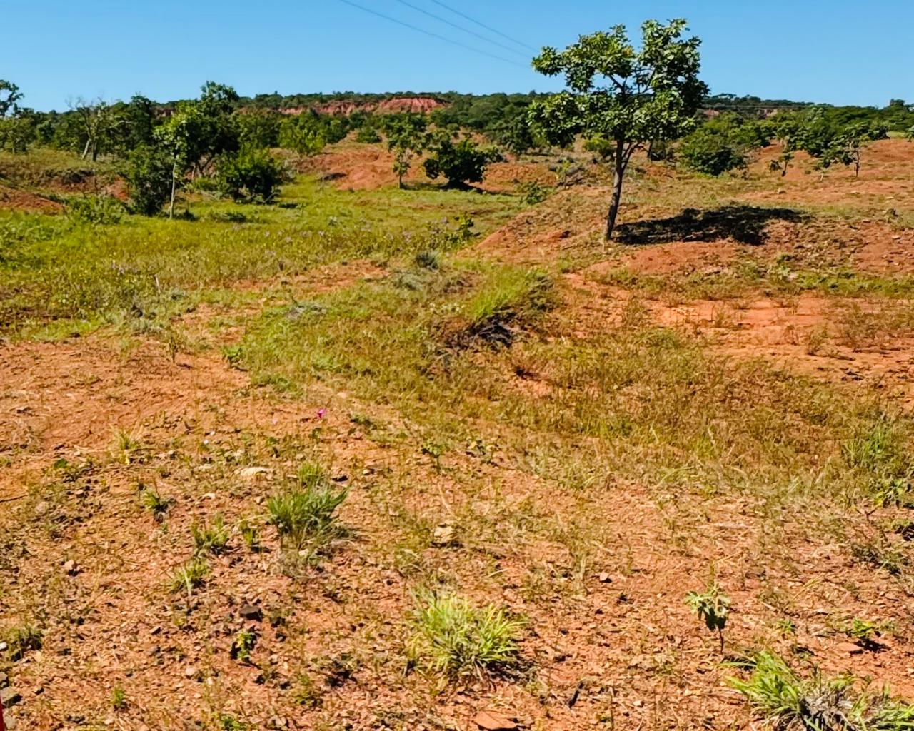 Foto: Reprodução/Secom Piauí