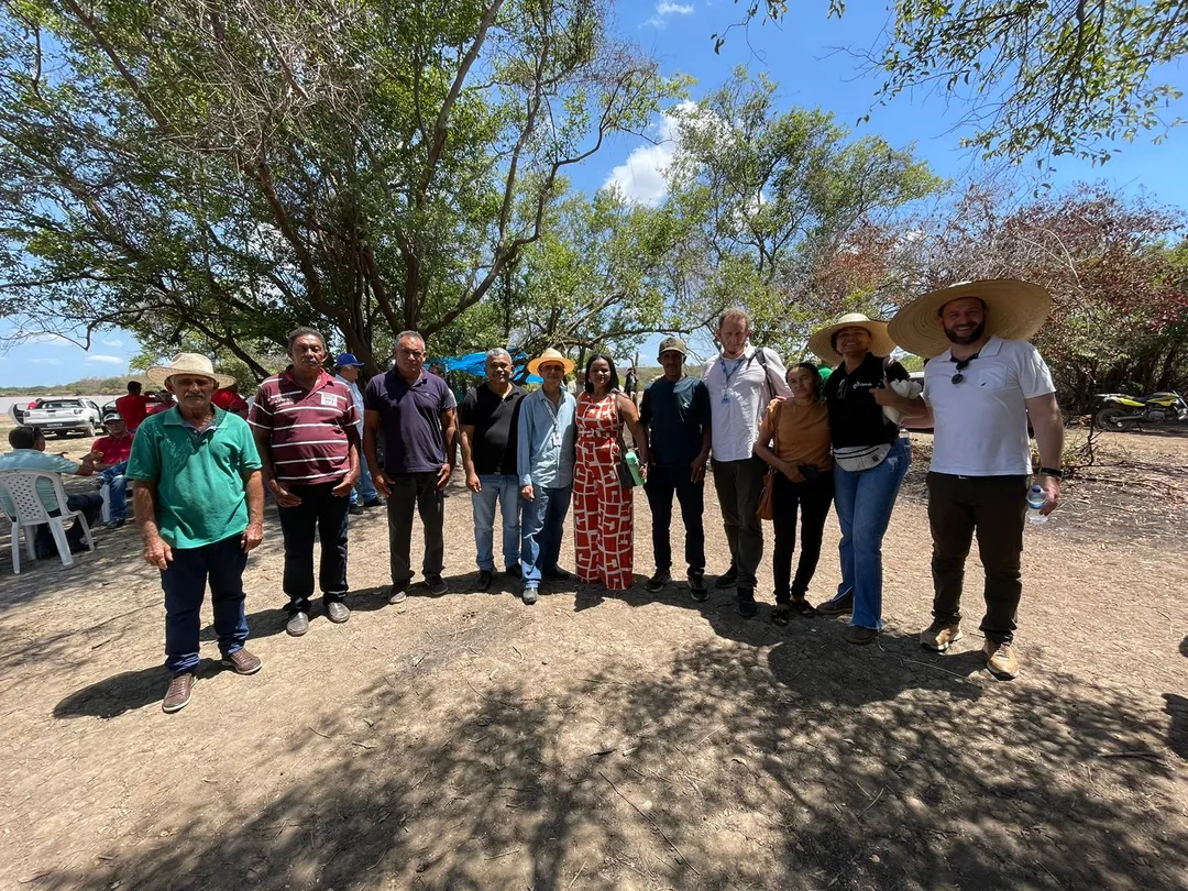 Programa vai fortalecer a produção de arroz em várias regiões do Piauí