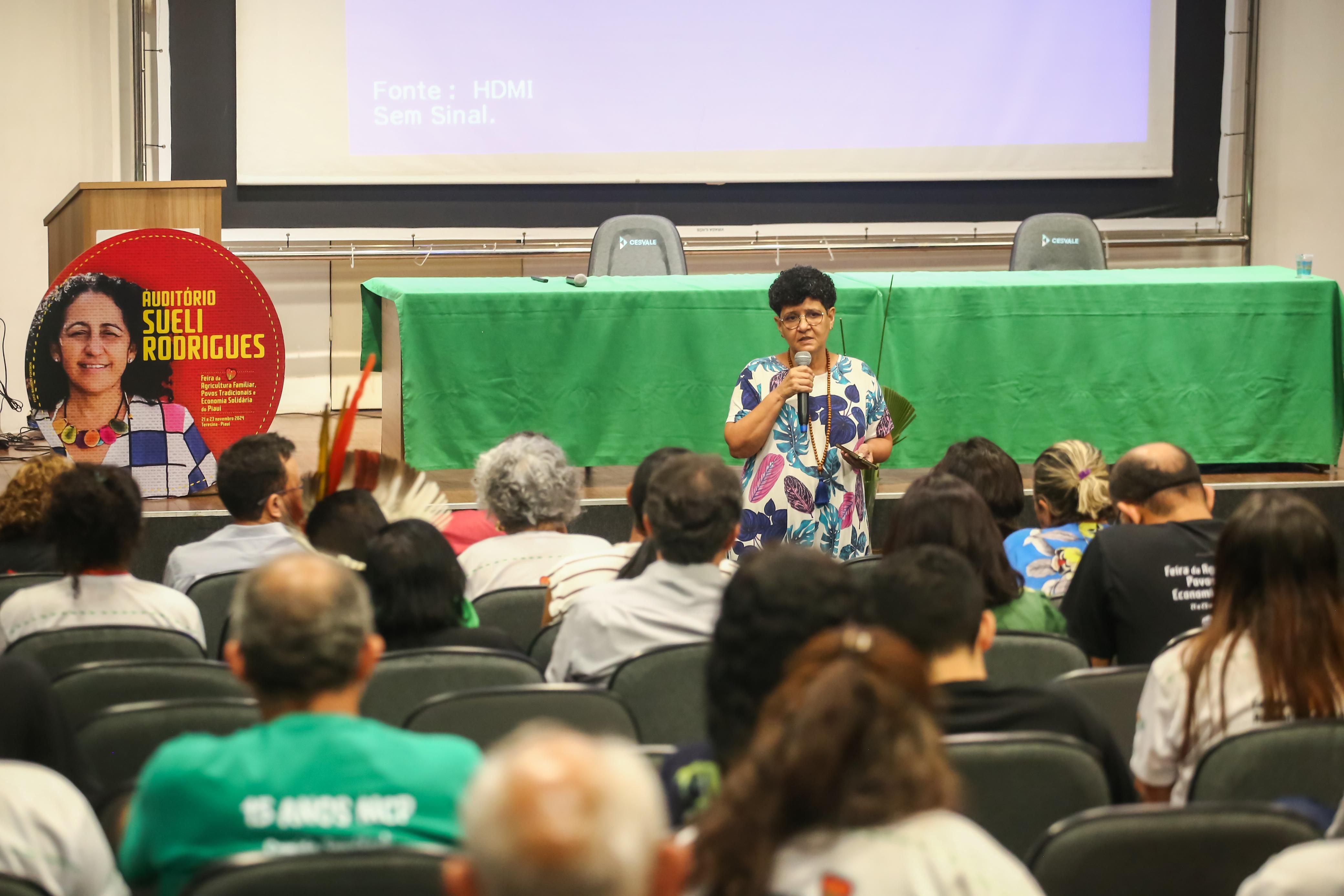 Foto: Reprodução/Secom Piauí