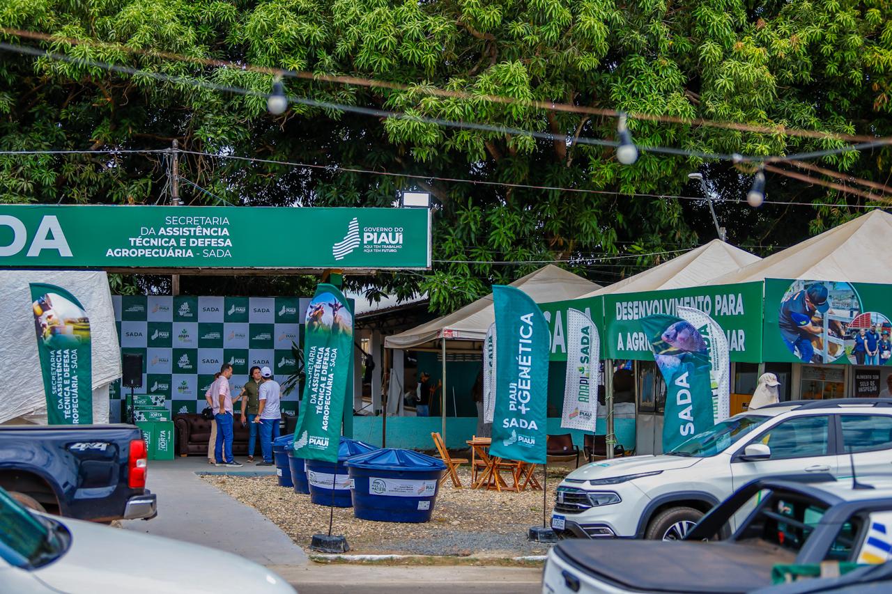 Foto: Reprodução/Secom Piauí