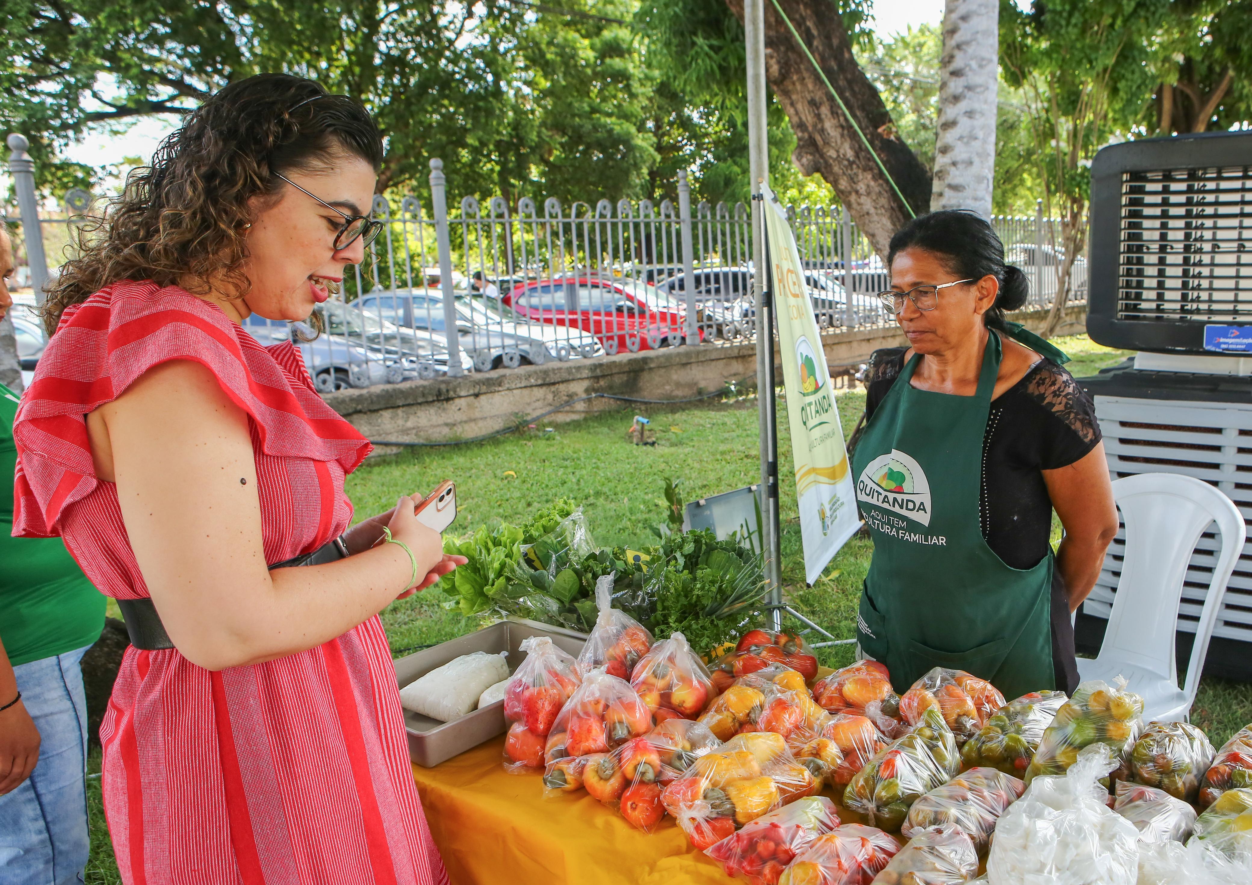 Foto: Reprodução/Secom Piauí