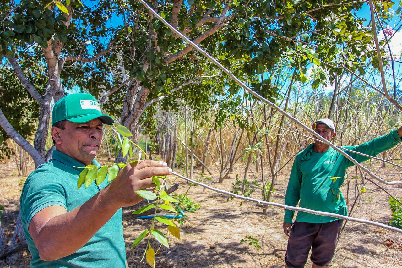 Foto: Reprodução/Secom Piauí