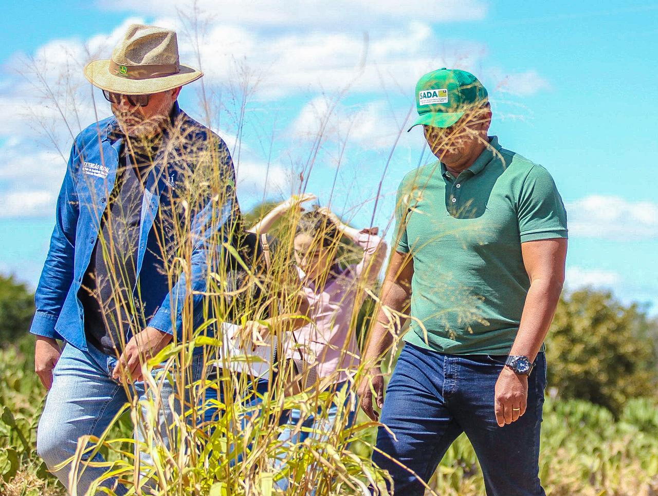 Foto: Reprodução/Secom Piauí