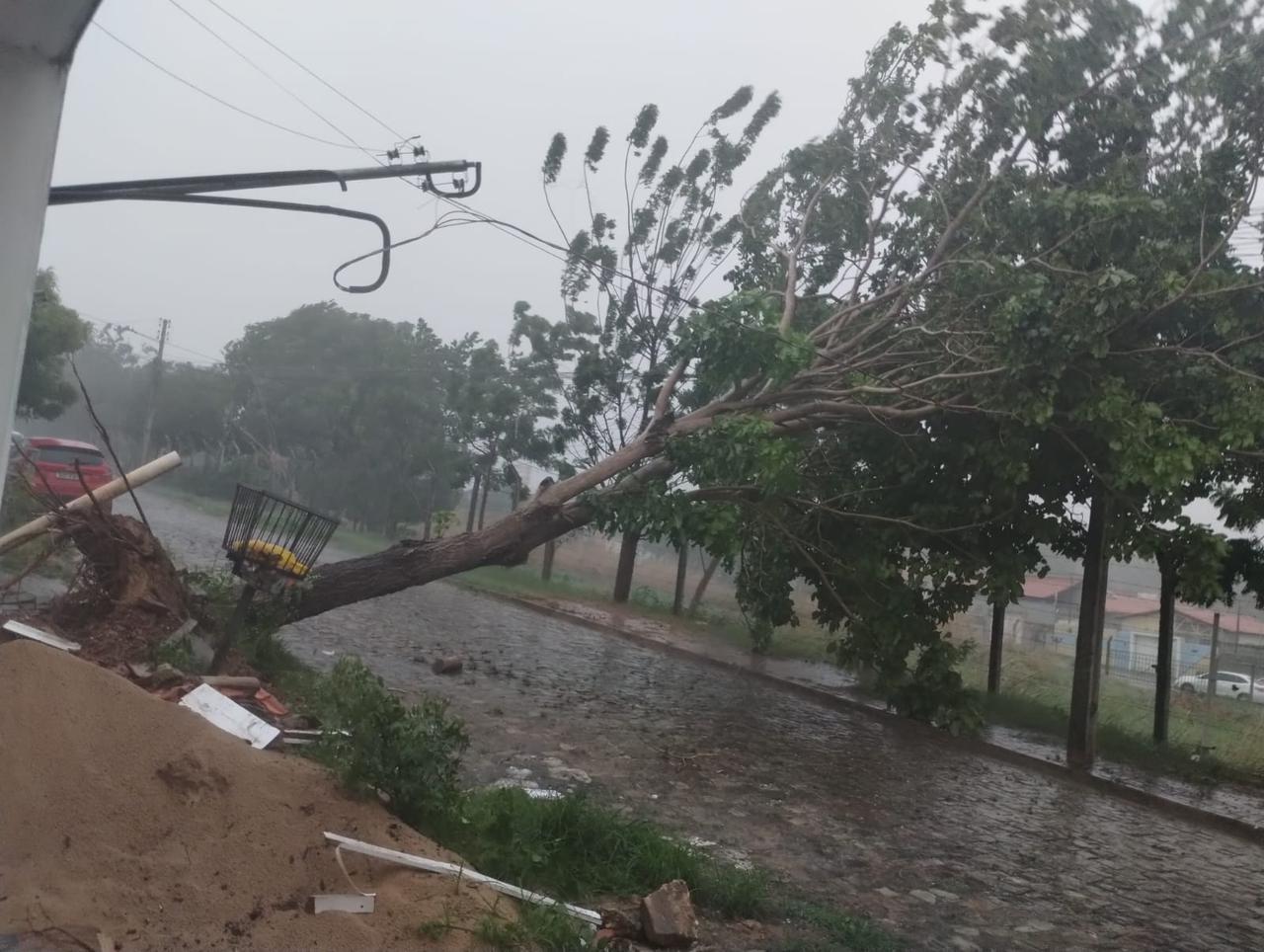 Foto: Reprodução/Secom Piauí