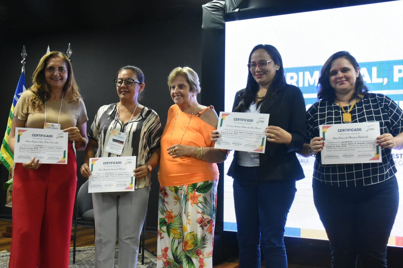 Foto: Reprodução/Secom Piauí