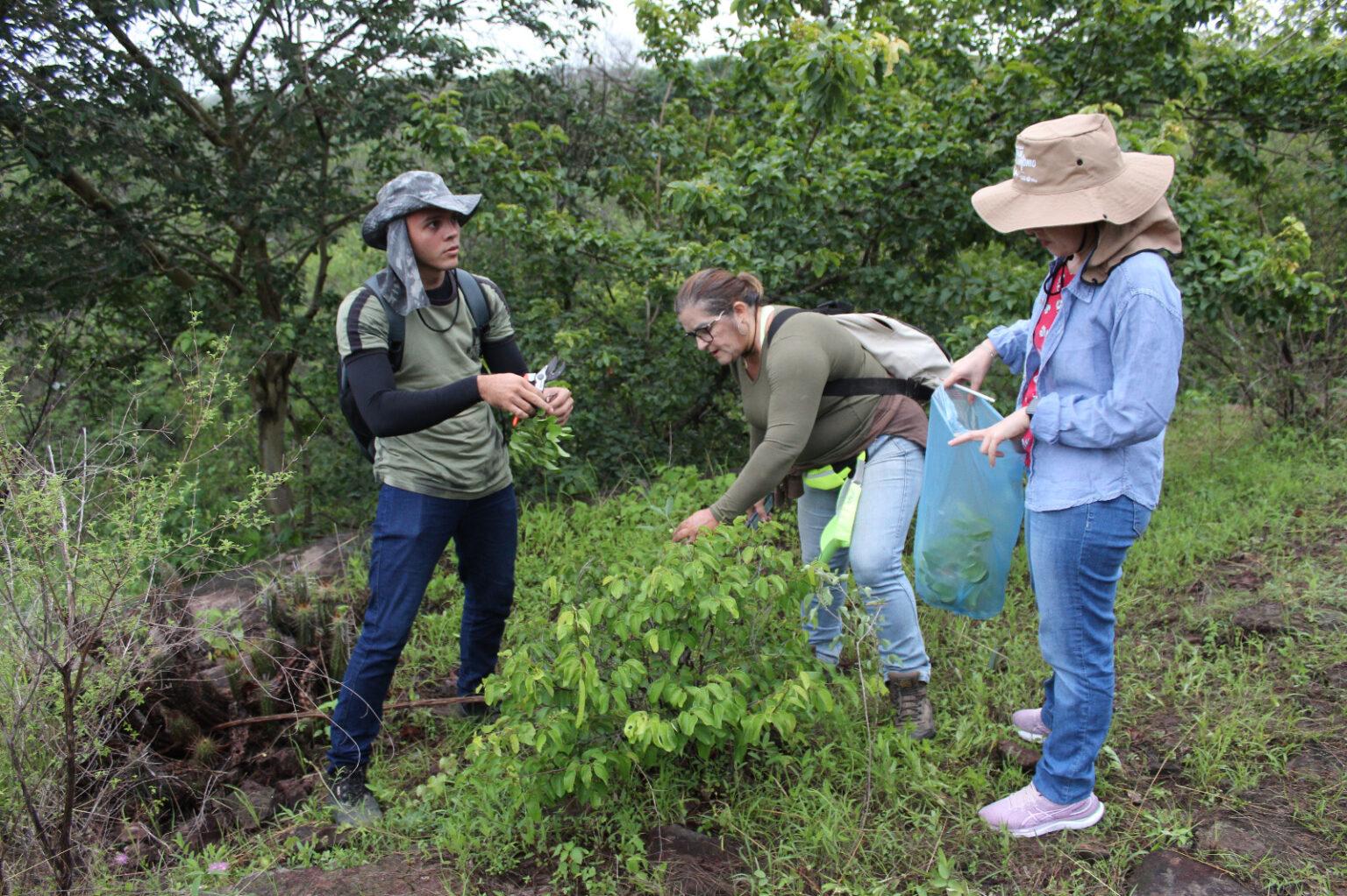 Foto: Reprodução/Secom Piauí