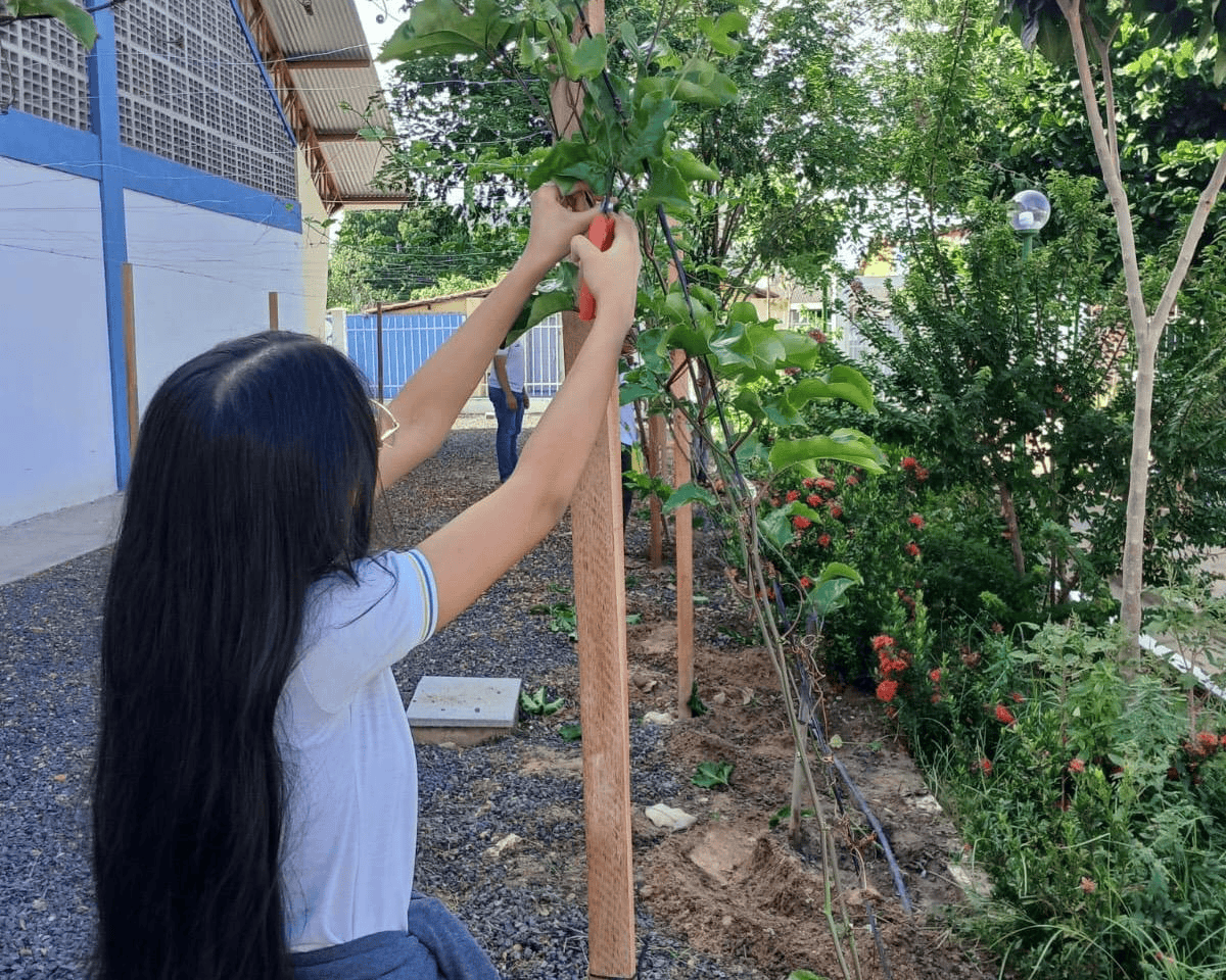 Foto: Reprodução/Secom Piauí