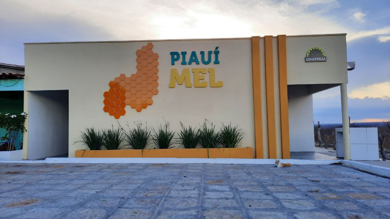 piaui-mel2.jpg