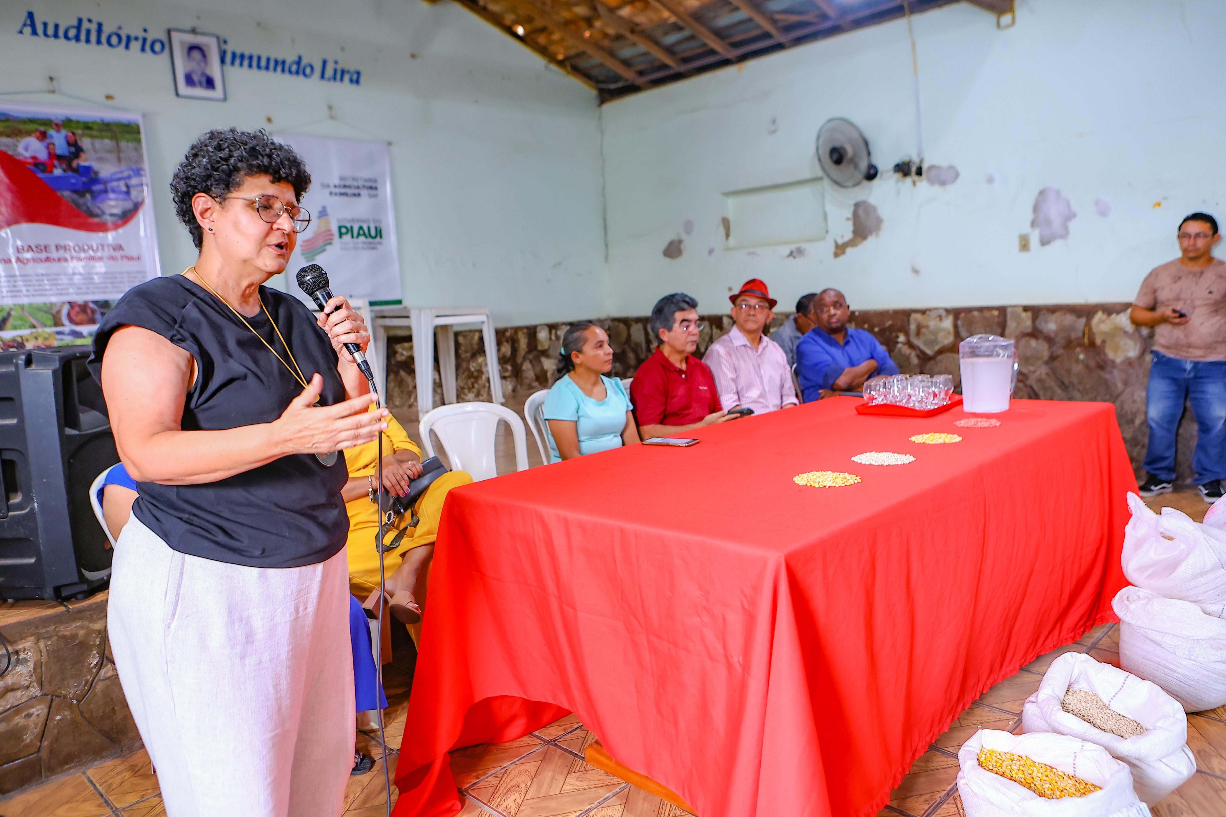 Foto: Reprodução/Secom Piauí