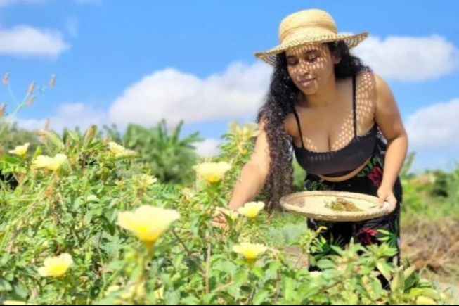 Foto: Reprodução/Secom Piauí