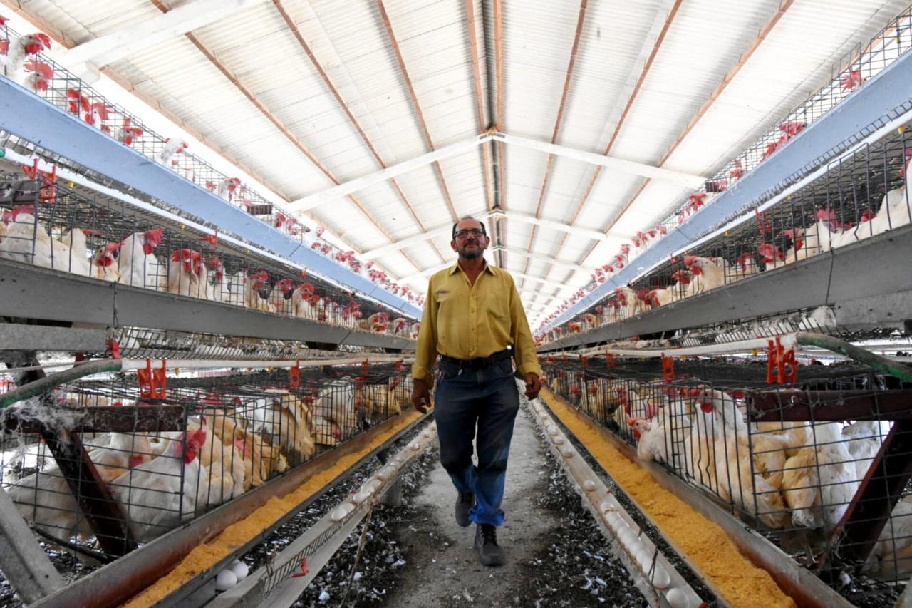 Foto: Reprodução/Secom Piauí