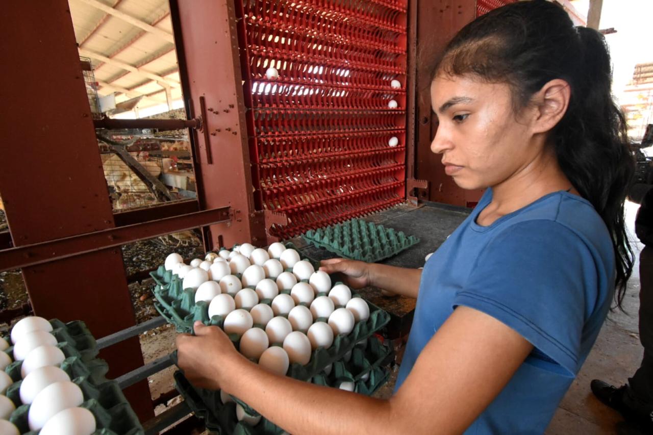 Foto: Reprodução/Secom Piauí