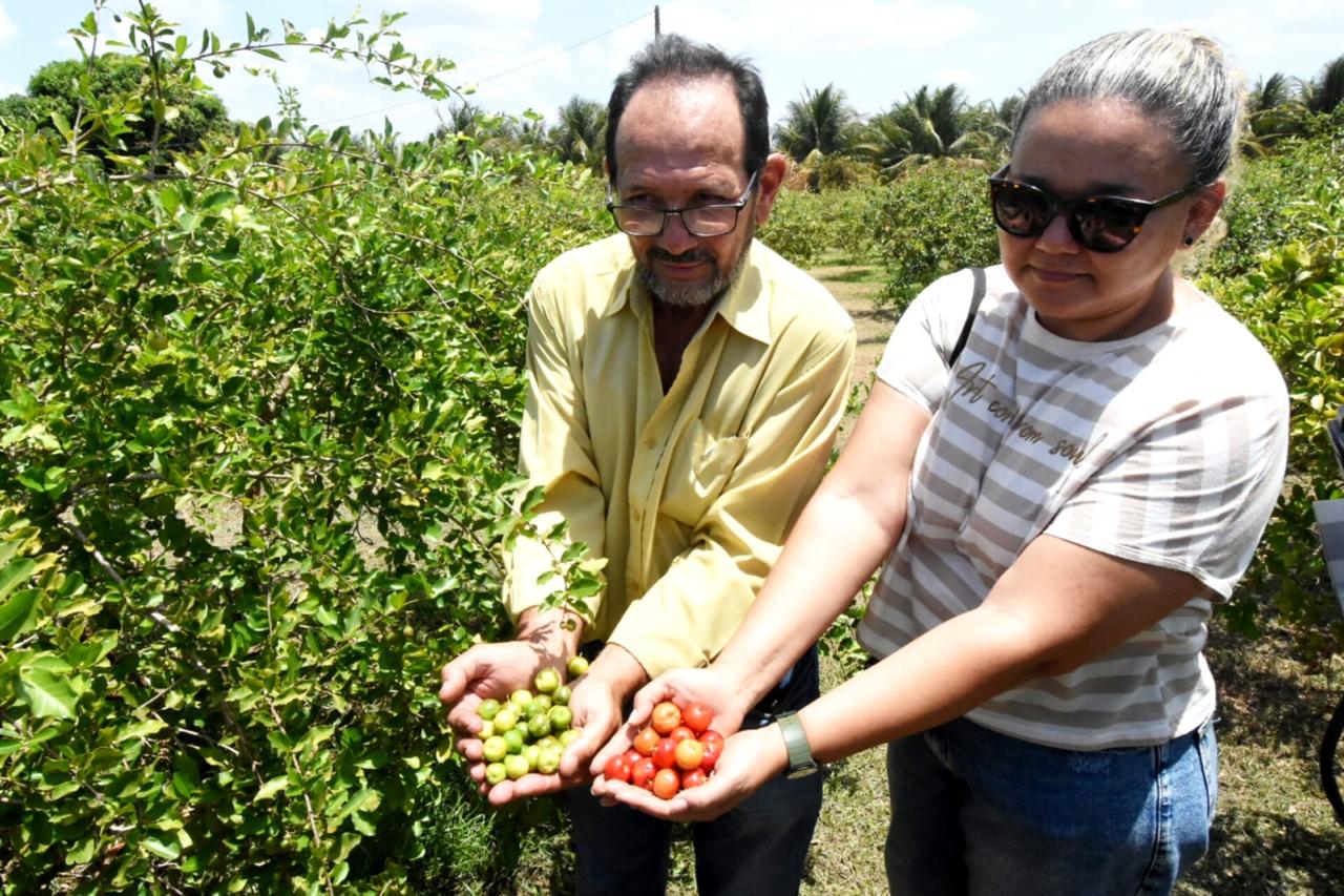 Foto: Reprodução/Secom Piauí