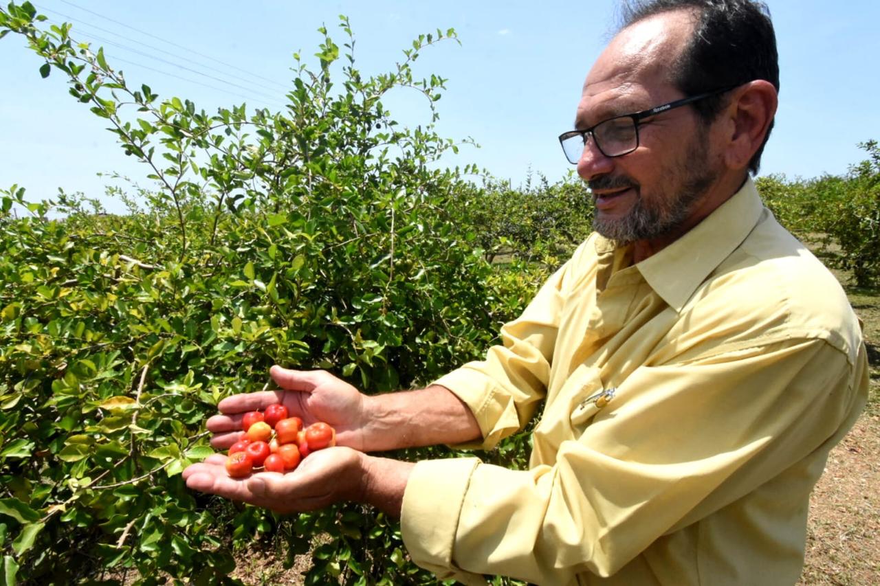 Foto: Reprodução/Secom Piauí