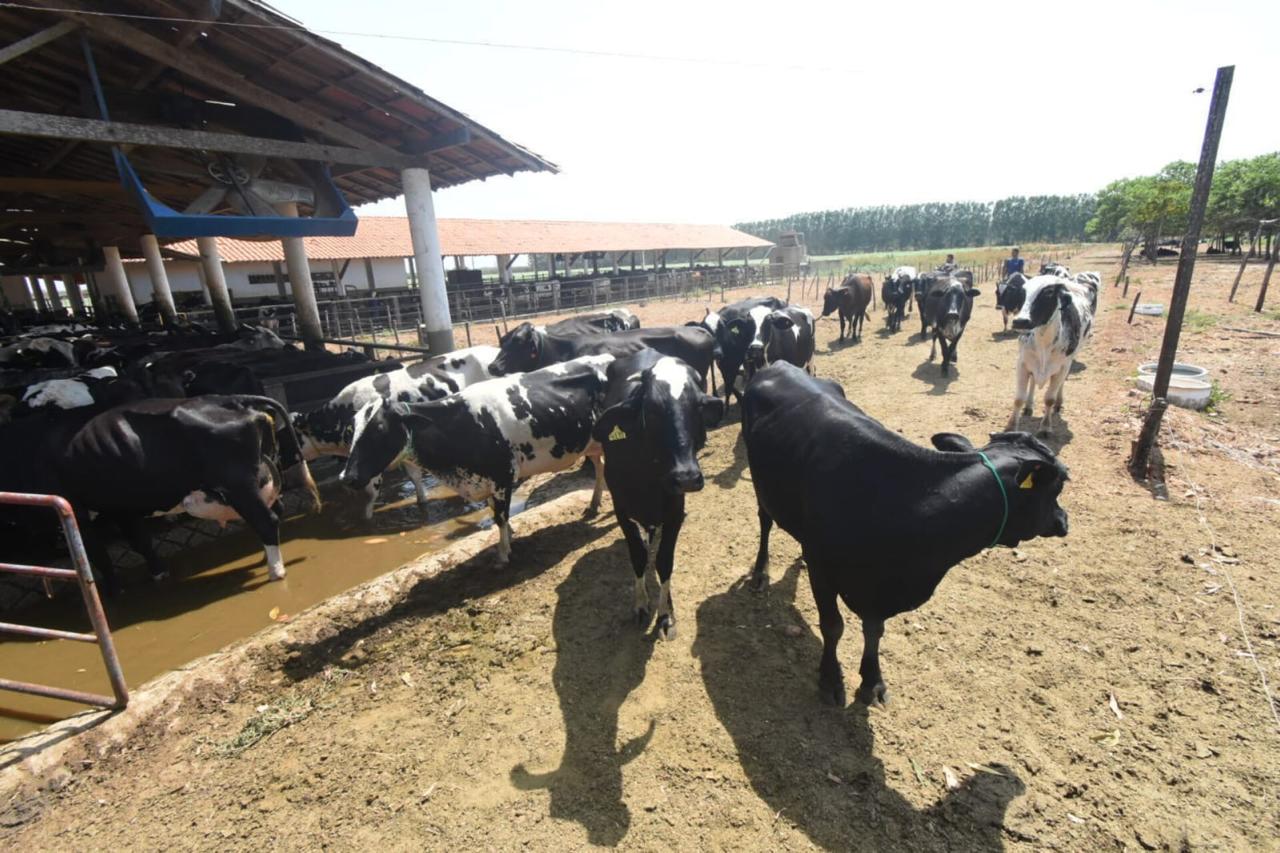 Foto: Reprodução/Secom Piauí