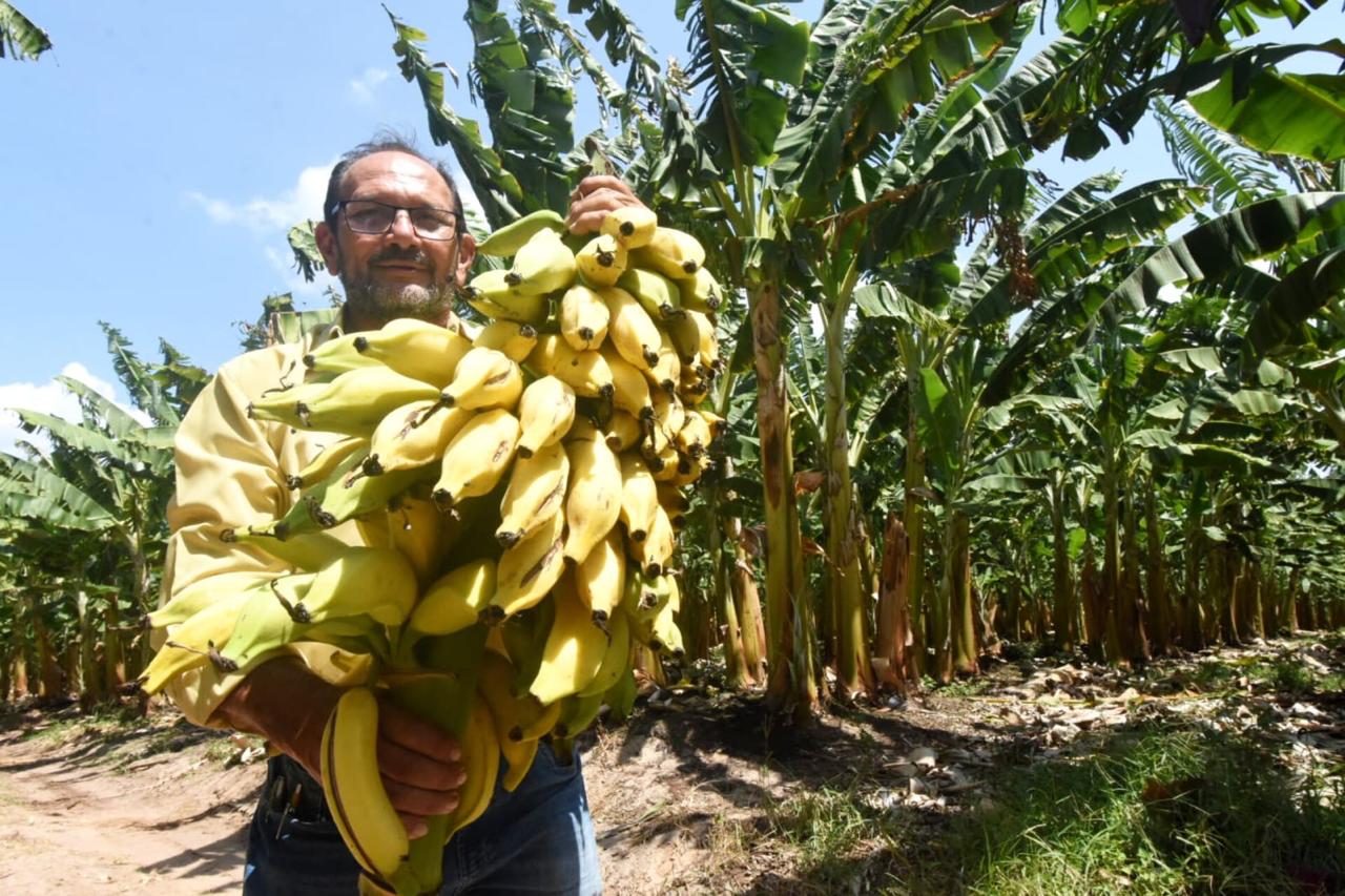 Foto: Reprodução/Secom Piauí