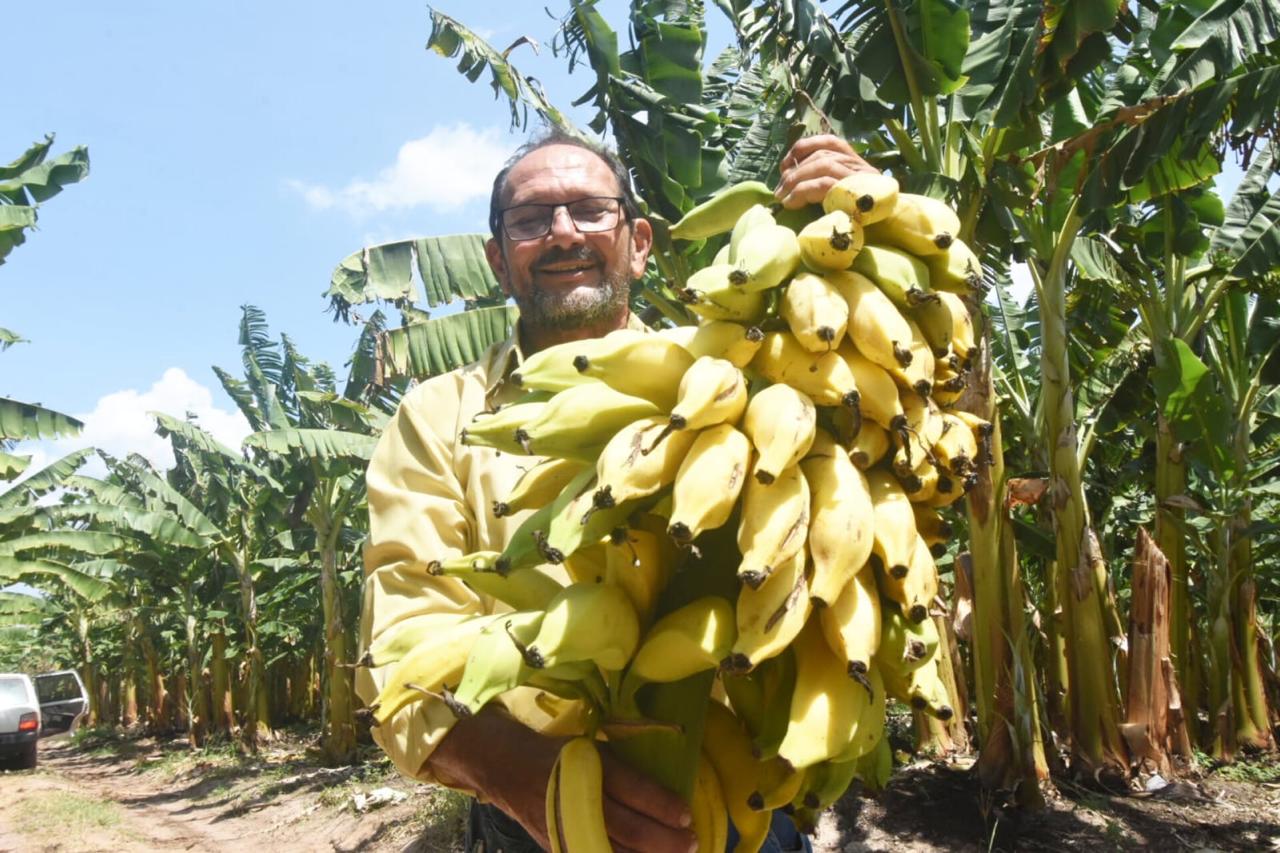 Foto: Reprodução/Secom Piauí